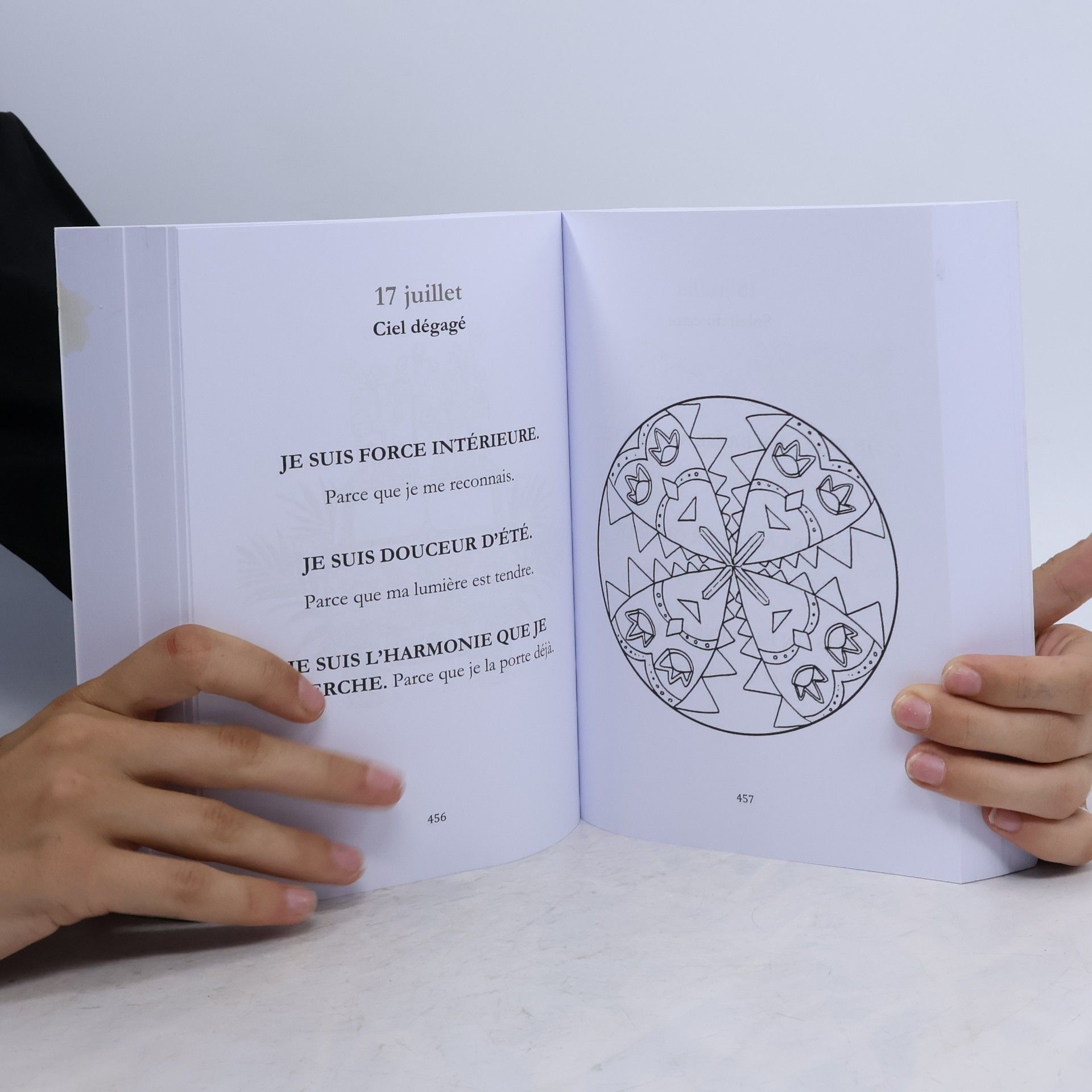 Reynaud, Françoise UNE ANNÉE POUR SOI: 365 Mantras, 365 Mandalas spirituels pour l'amour de soi