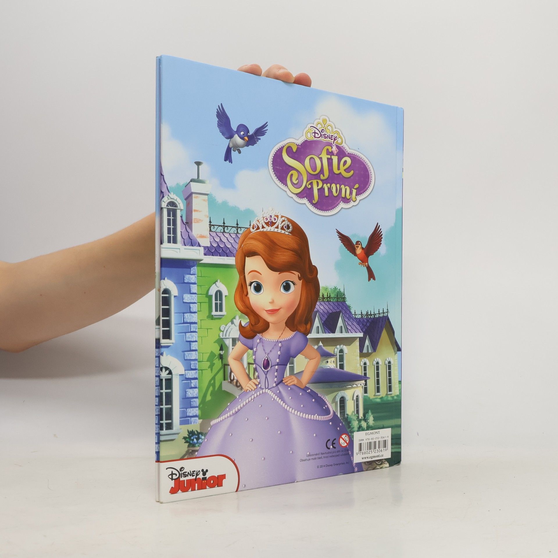 Walt Disney Sofie První - Knížka na celý rok