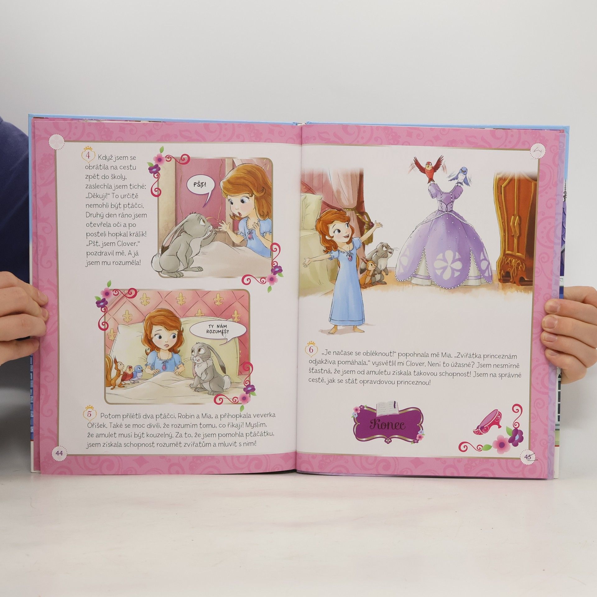 Walt Disney Sofie První - Knížka na celý rok