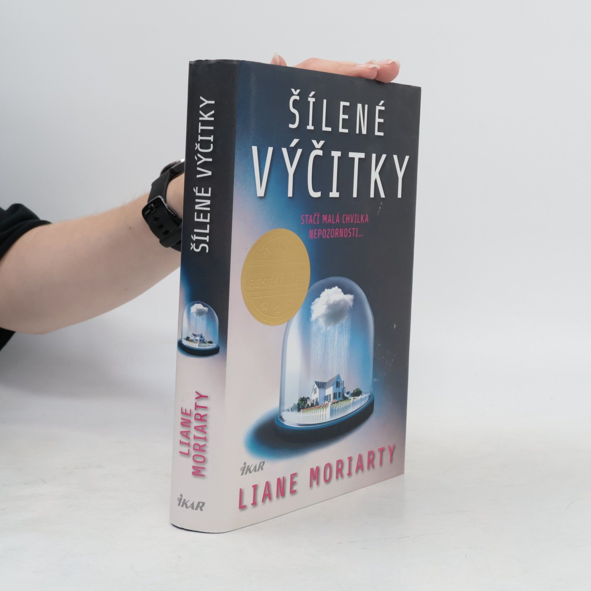 Liane Moriarty Šílené výčitky