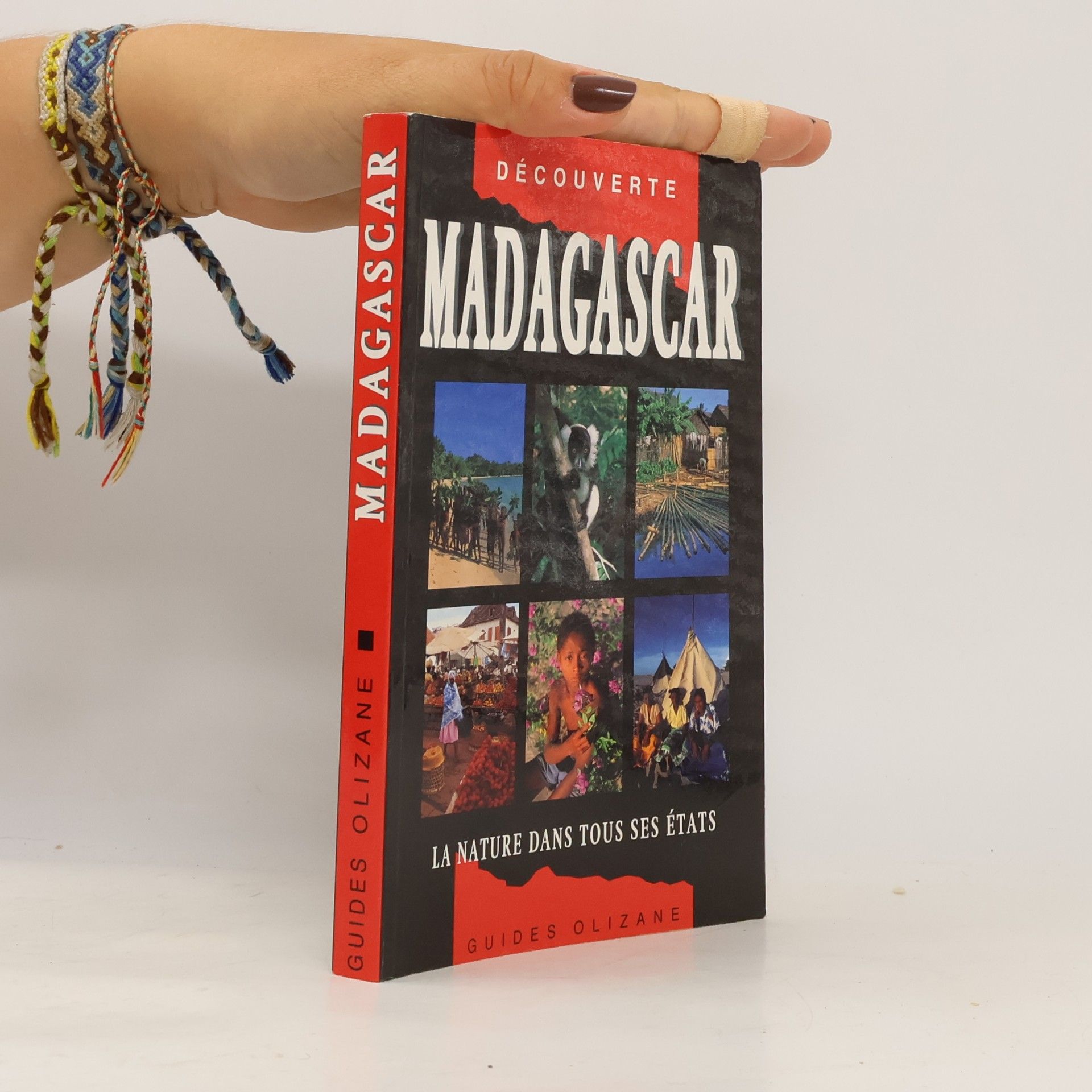 Annick Desmonts Guide - Madagascar ancienne édition