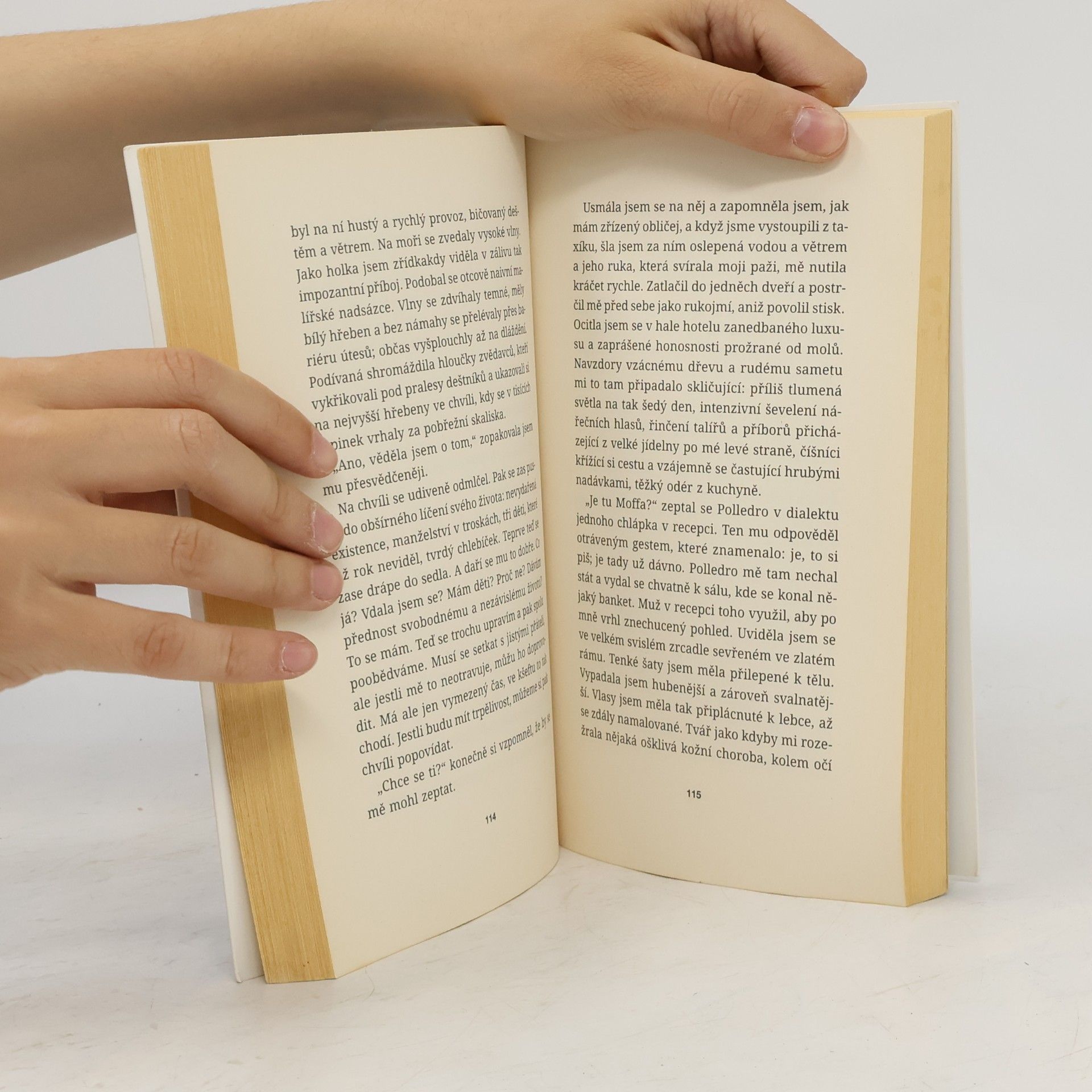 Elena Ferrante Tíživá láska