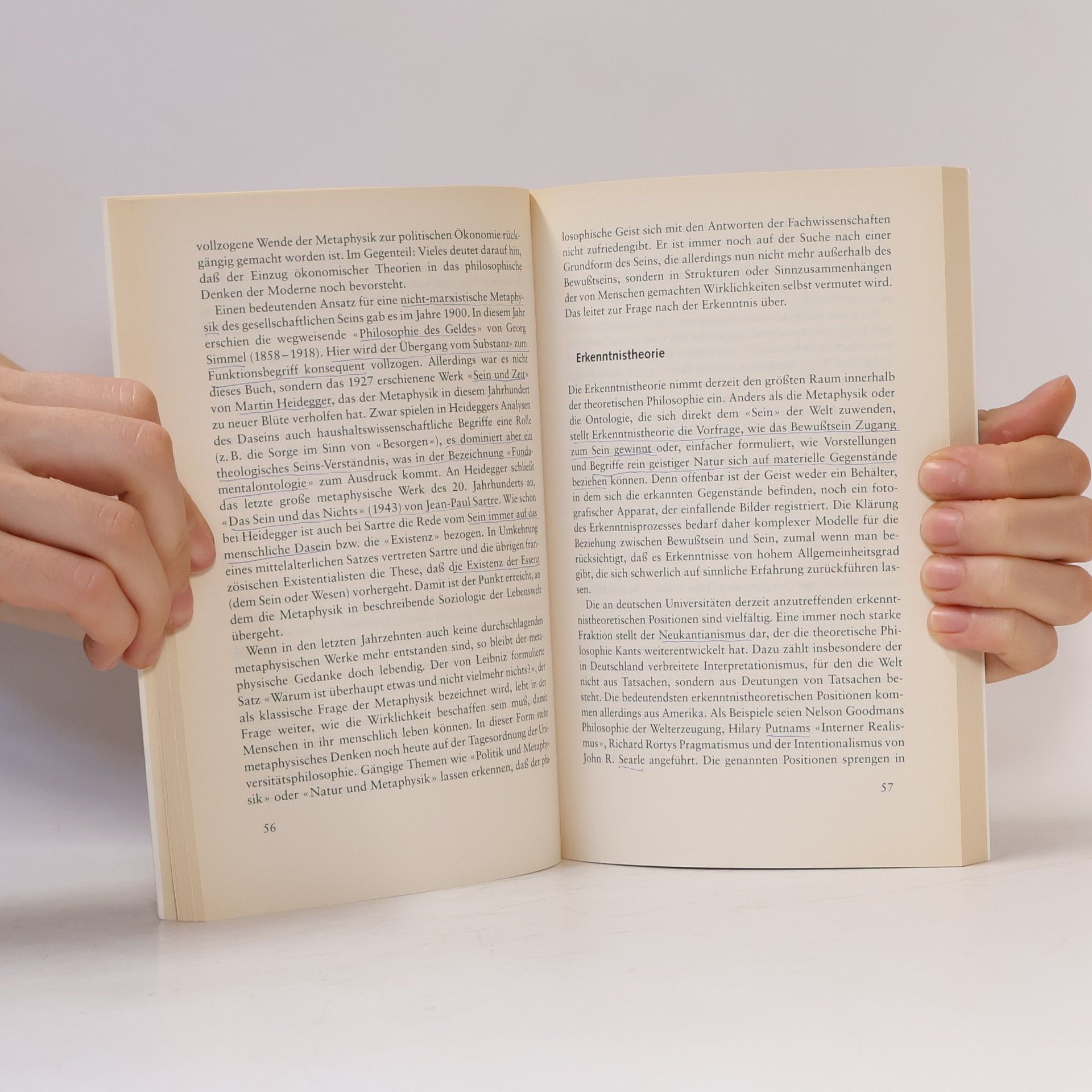 Ferdinand Fellmann Orientierung Philosophie : was sie kann, was sie will