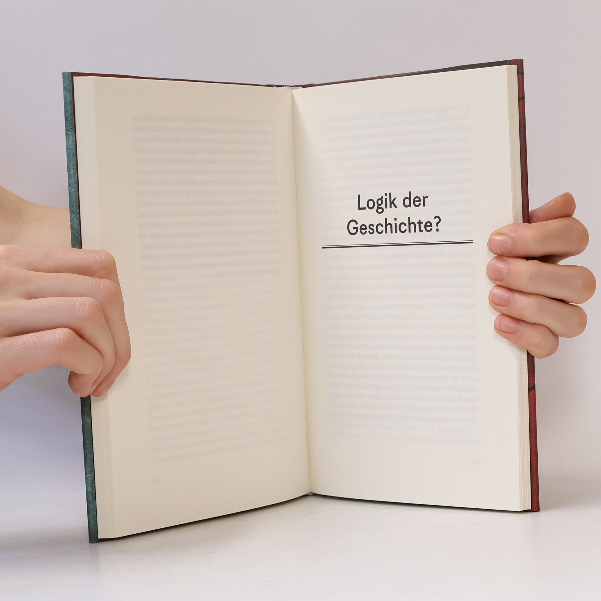 Rudolf Burger Wozu Geschichte?