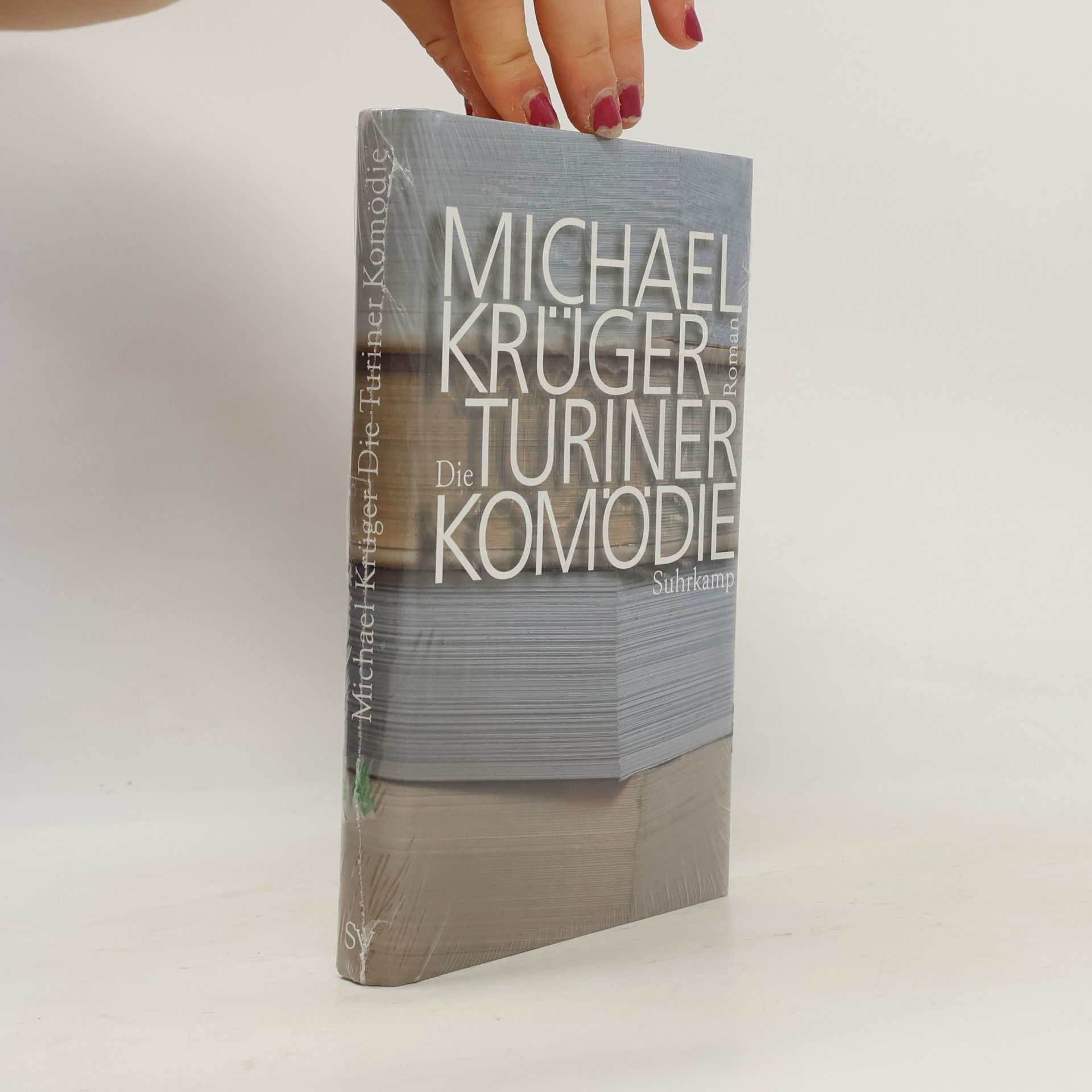 Michael Krüger Die Turiner Komödie