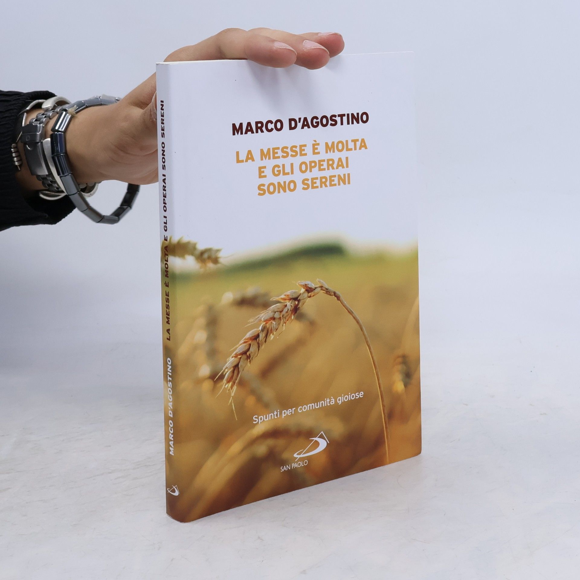 Marco D'Agostino La messe è molta e gli operai sono sereni. Spunti per comunità gioiose (Parole per lo spirito)
