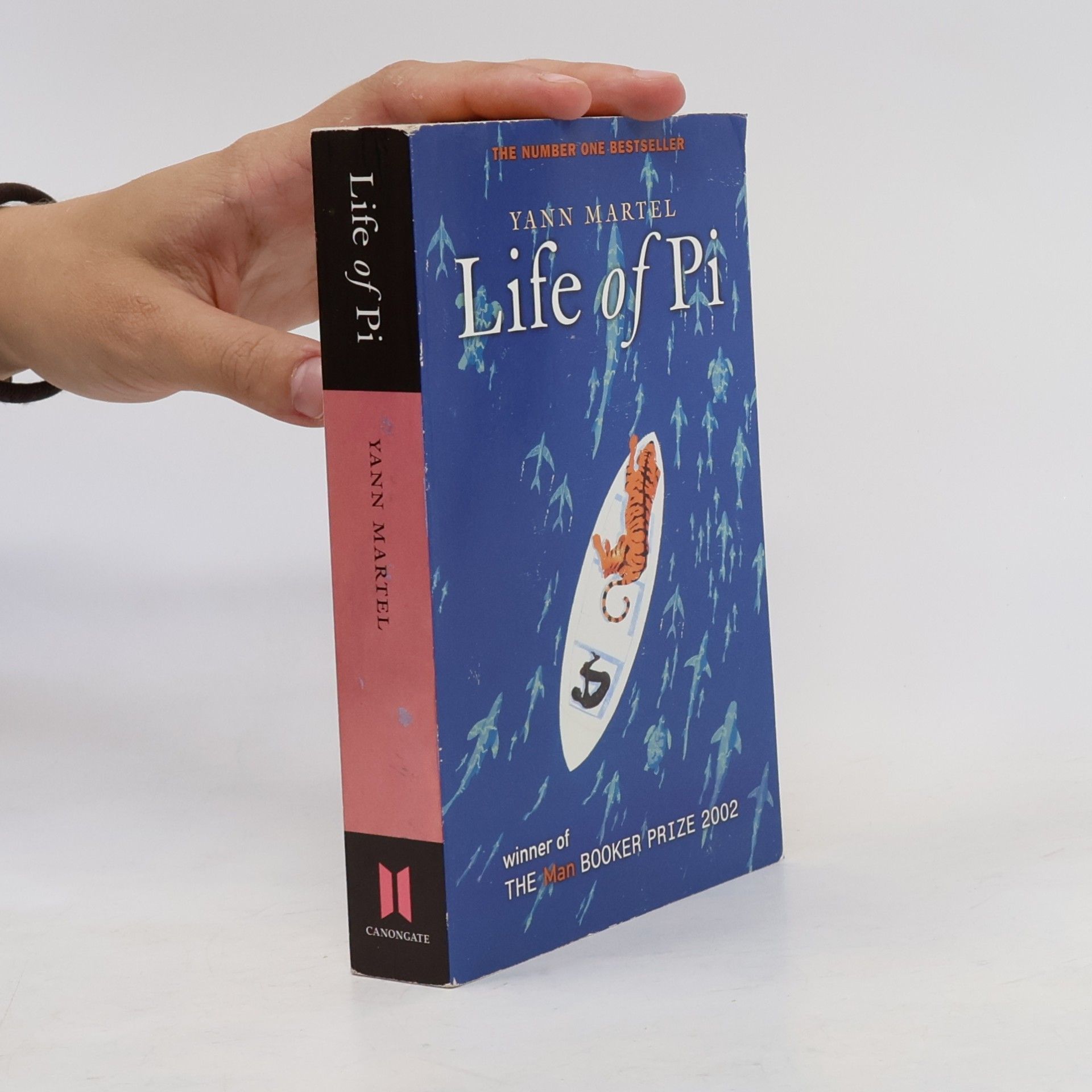 Yann Martel Life of Pi