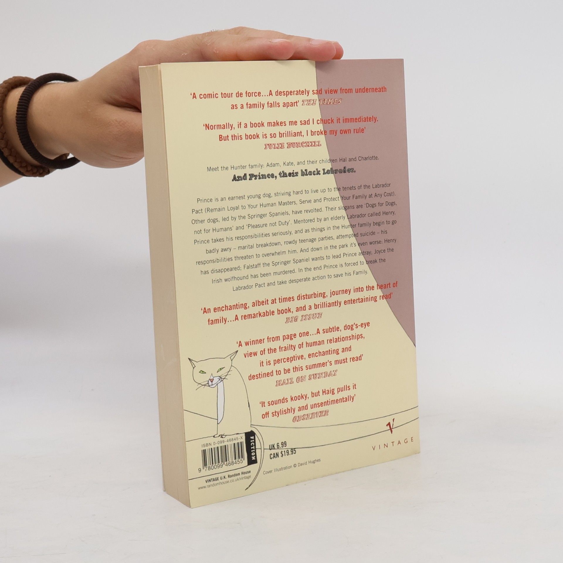 Matt Haig The last family in England