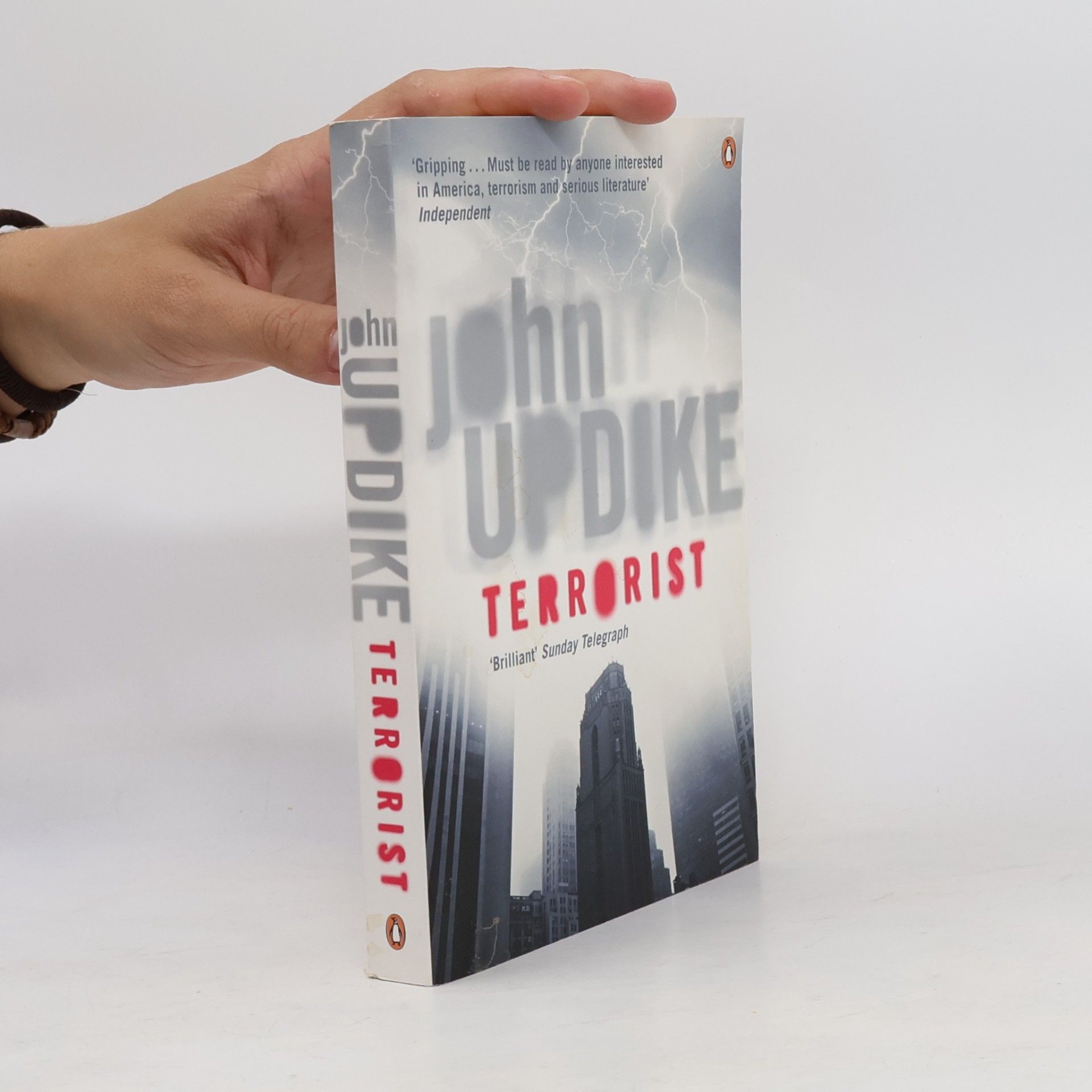 John Updike Terrorist