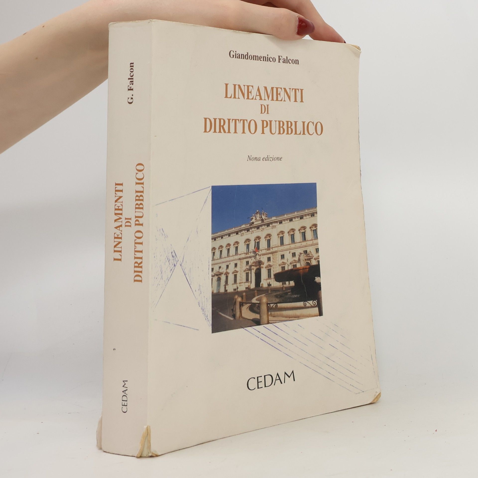 Giandomenico Falcon Lineamenti di diritto pubblico