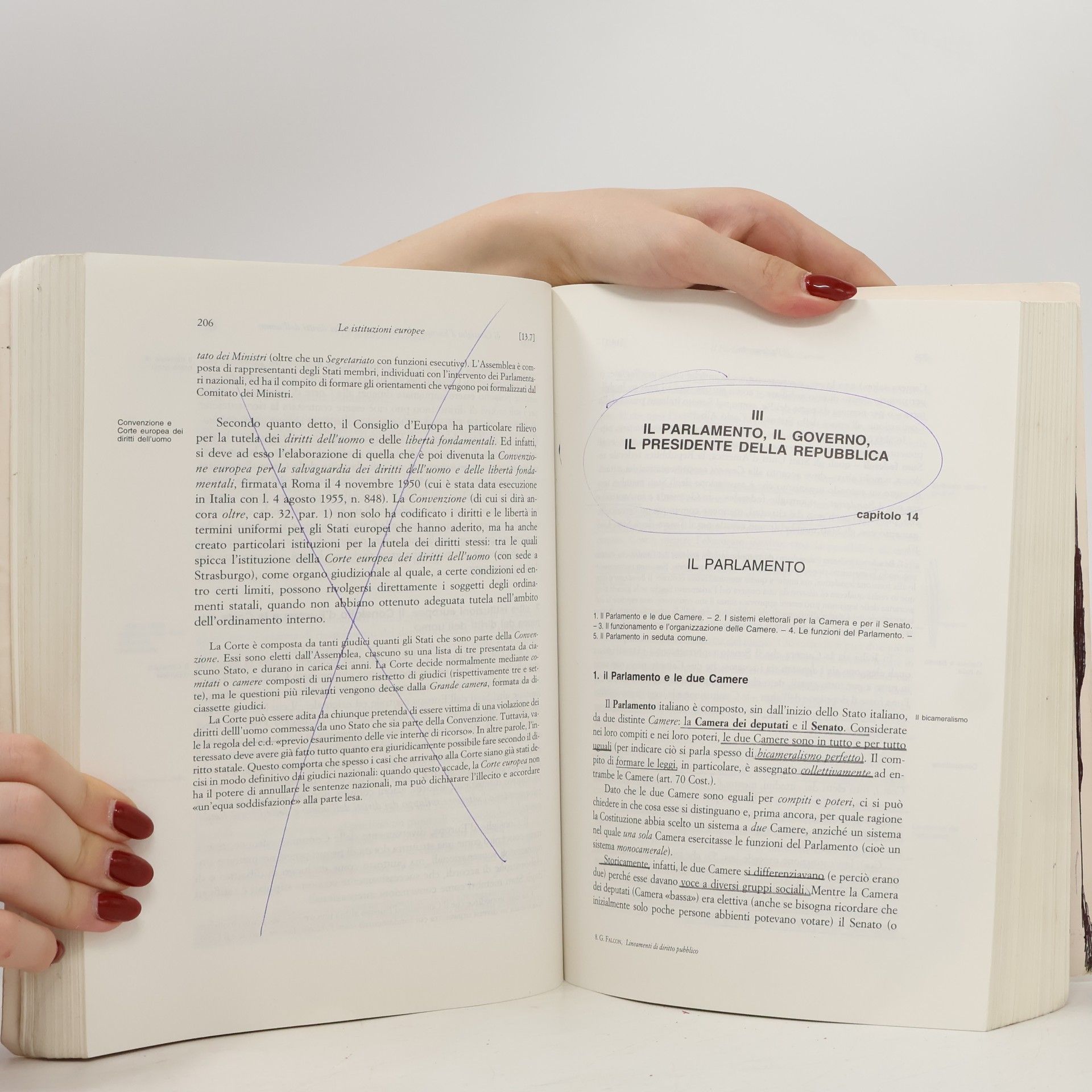 Giandomenico Falcon Lineamenti di diritto pubblico