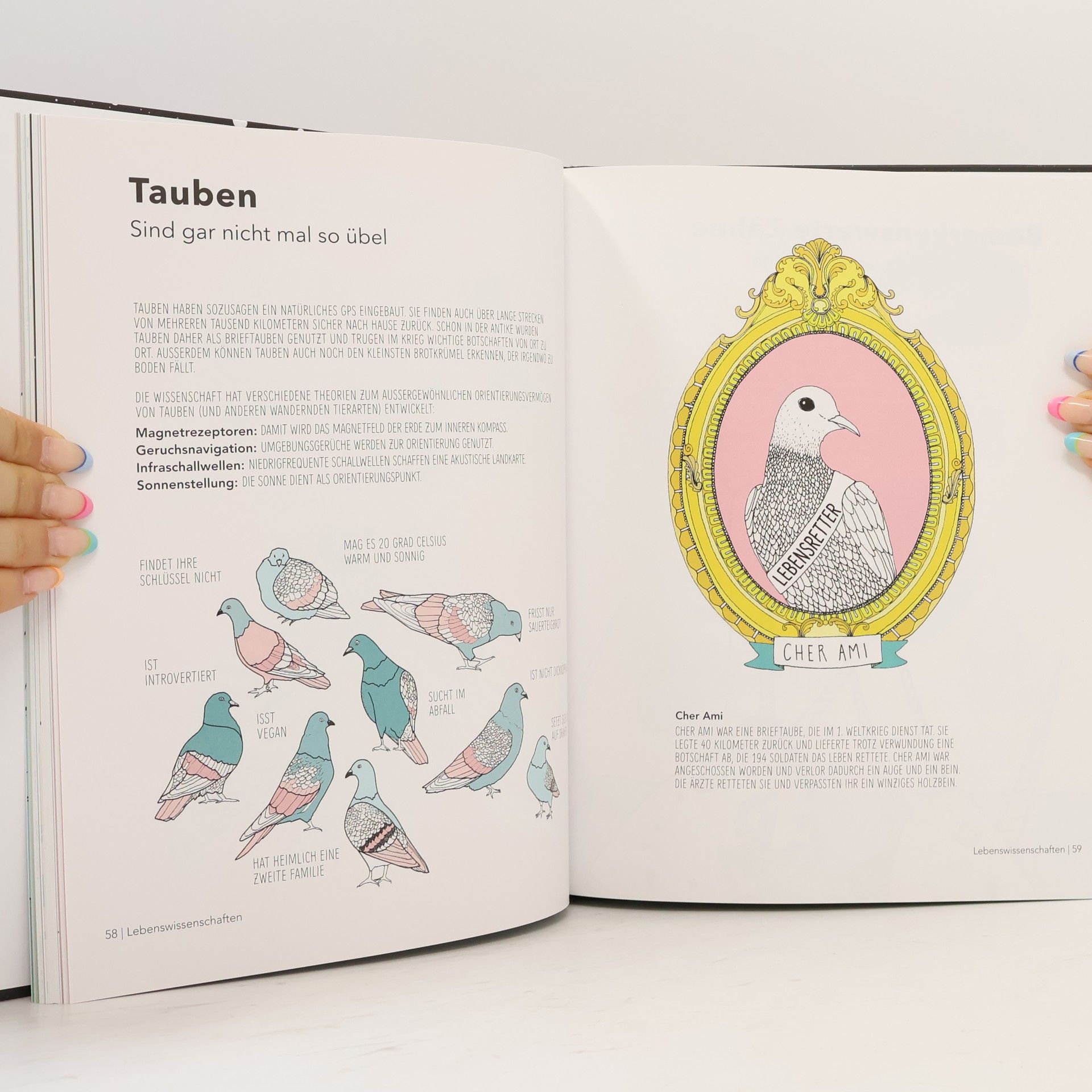 IRIS GOTTLIEB Wunder der Welt in farbigen Grafiken