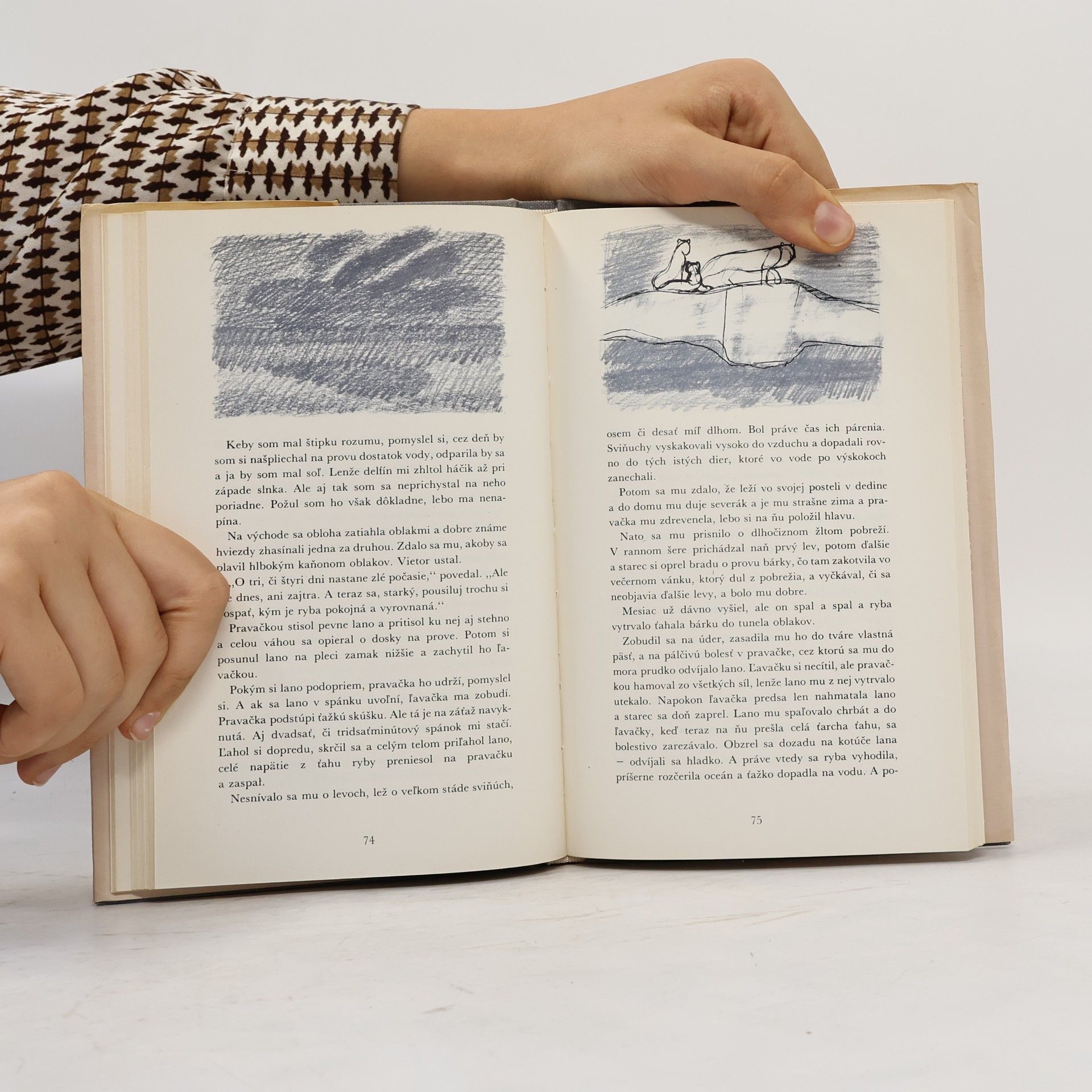 Ernest Hemingway Starec a more