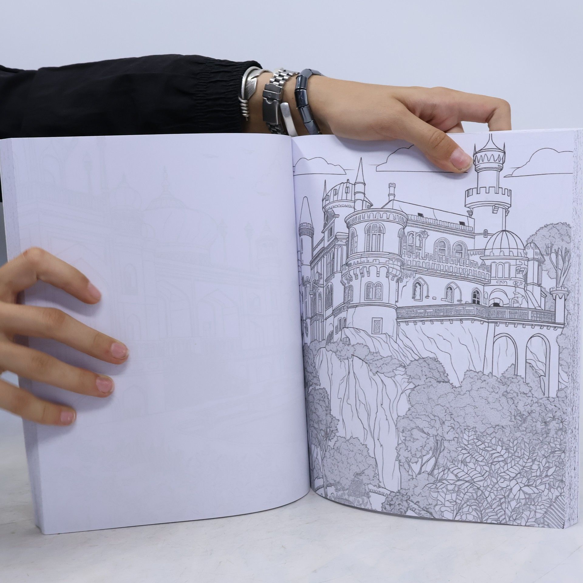 Bb, Lea Schöning Paisajes Libro de Colorear para Adultos: 100 Bellos Motivos para Amantes de los Viajes