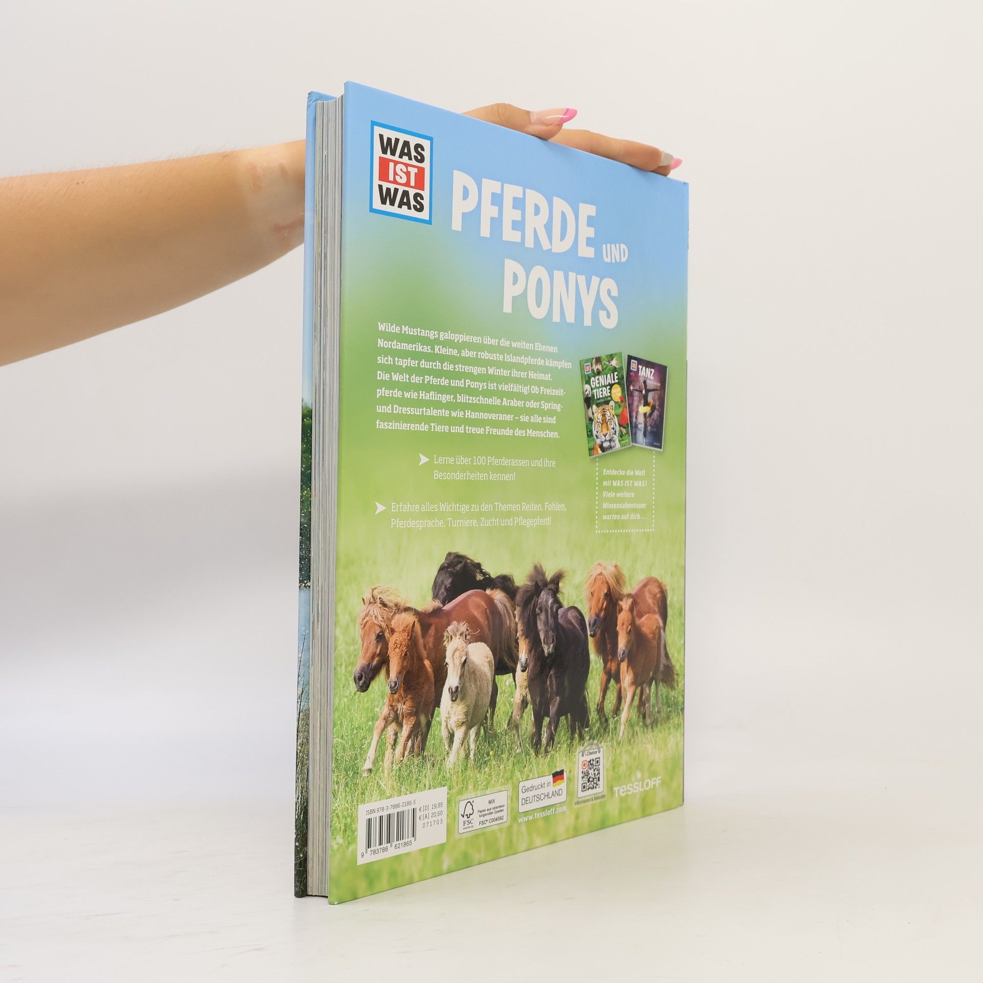 Silke Behling Pferde und Ponys
