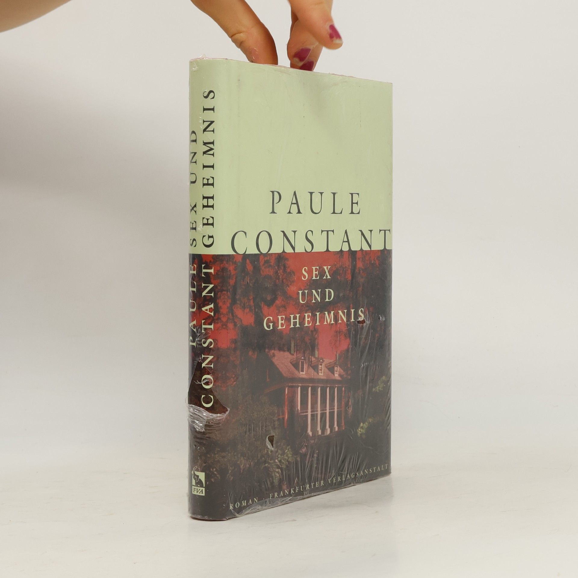 Paule Constant Sex und Geheimnis