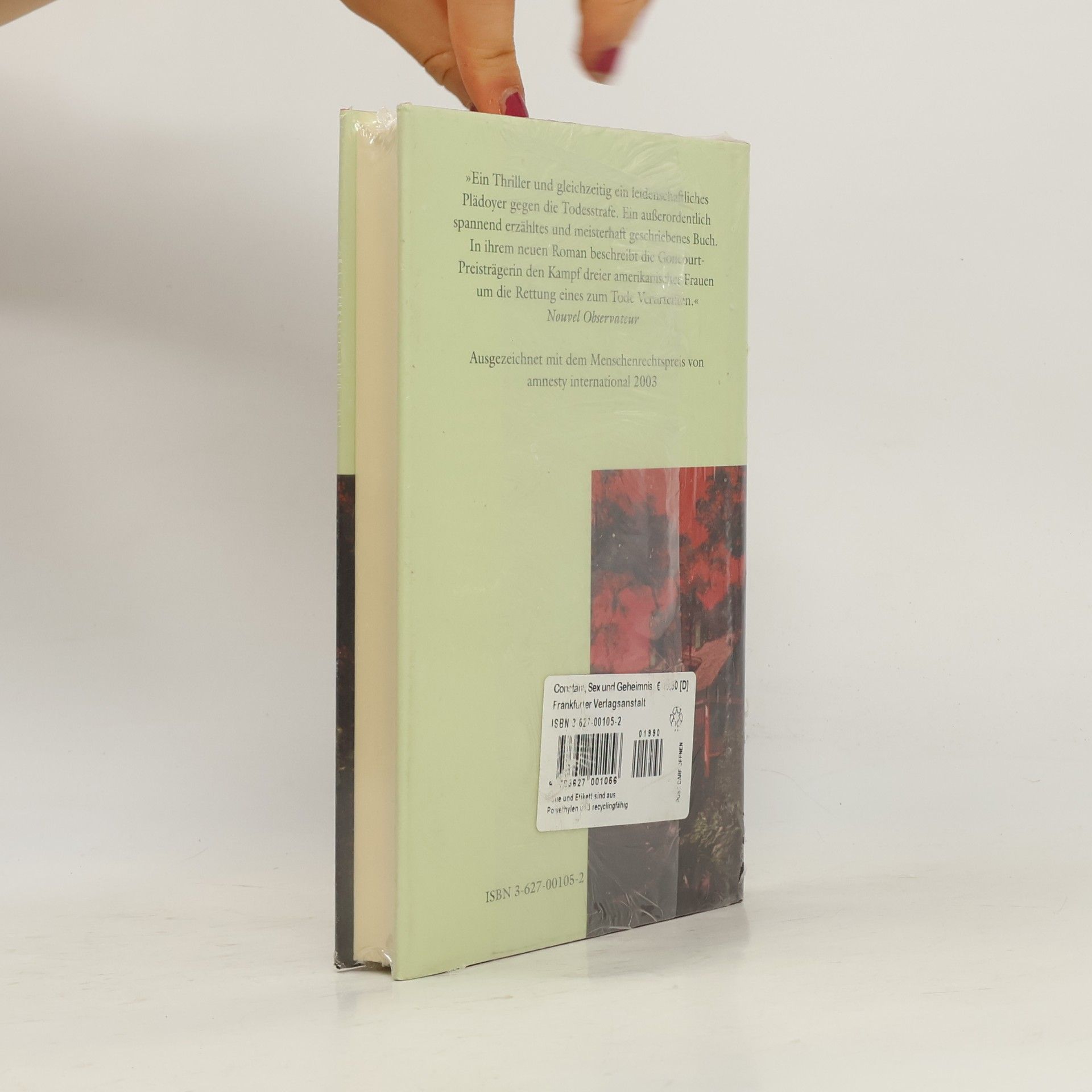 Paule Constant Sex und Geheimnis