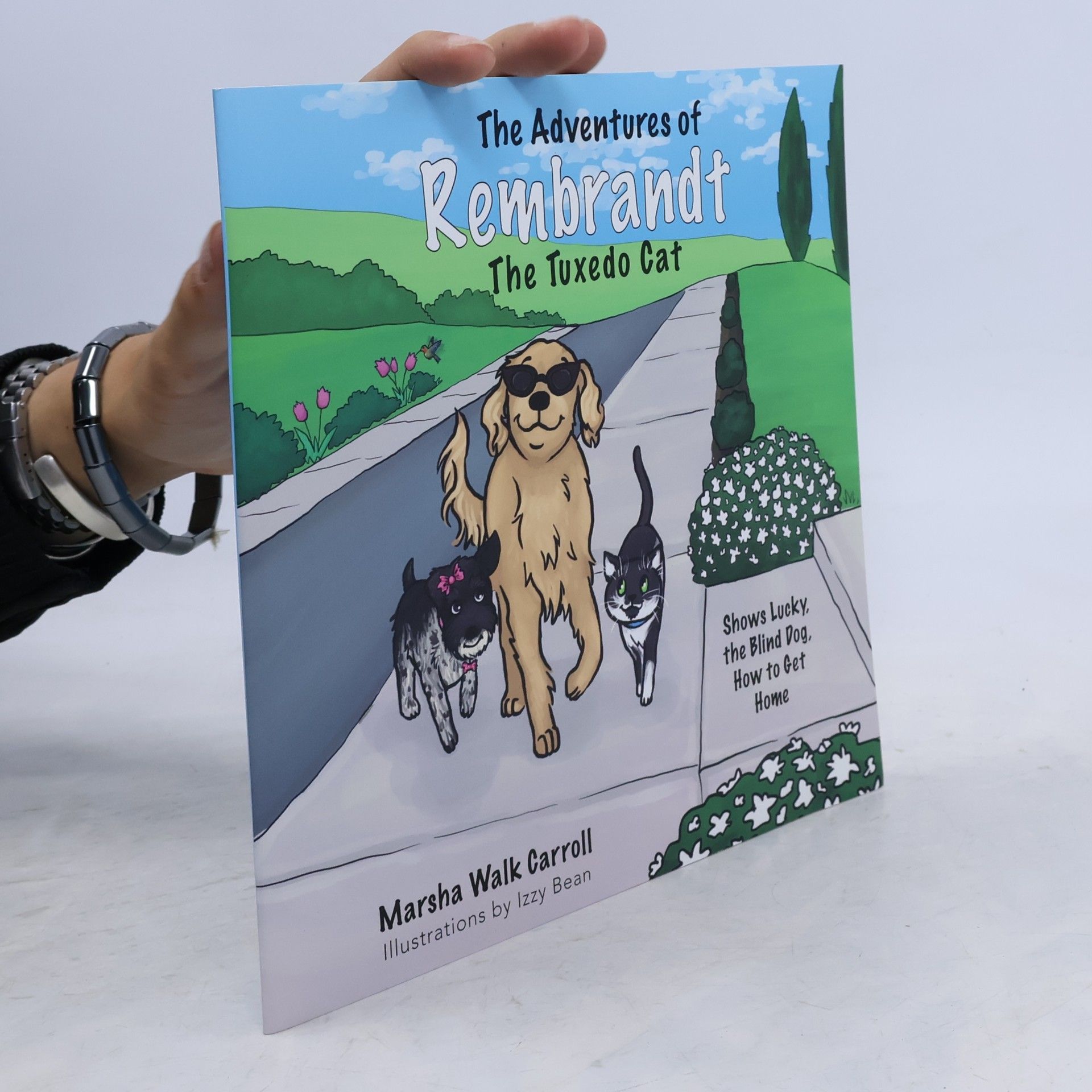 Izzy Bean The Adventures of Rembrandt the Tuxedo Cat