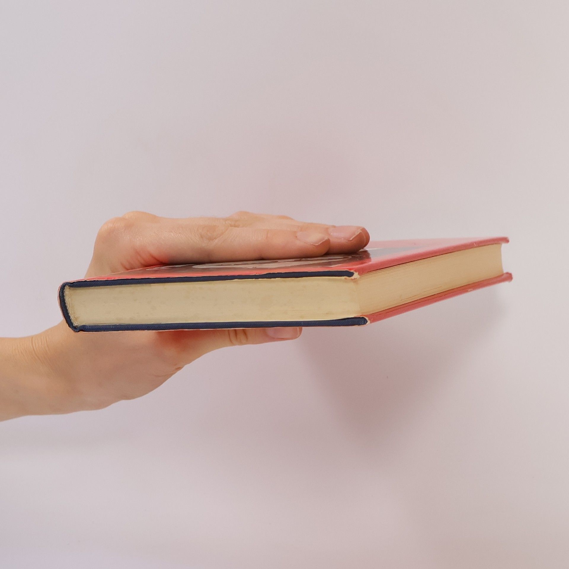 Ian McEwan Zwischen den Laken