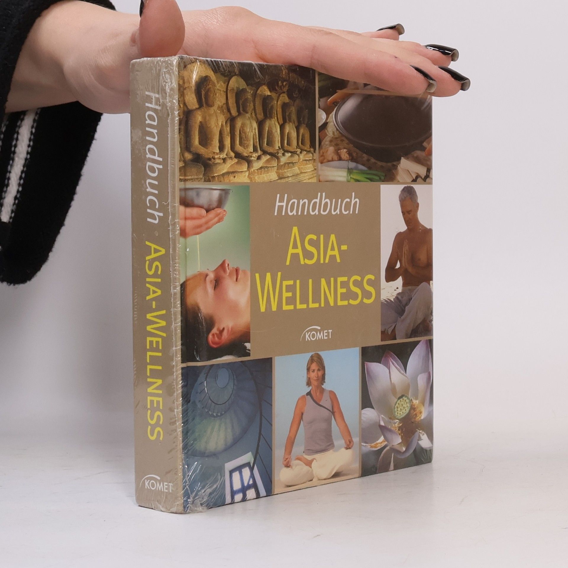 Handbuch Asia-Wellness