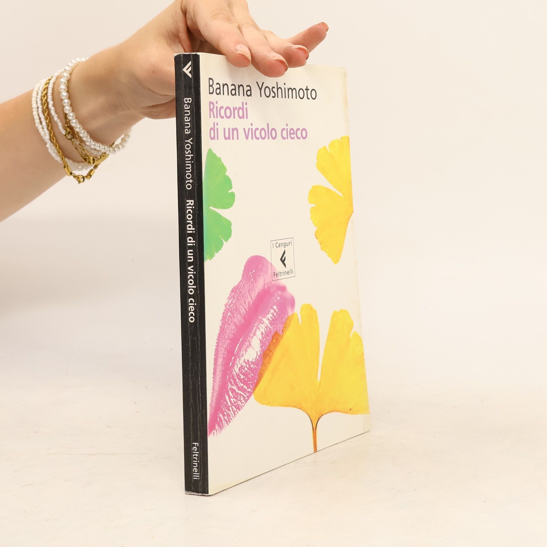 Banana Yoshimoto Ricordi di un vicolo cieco