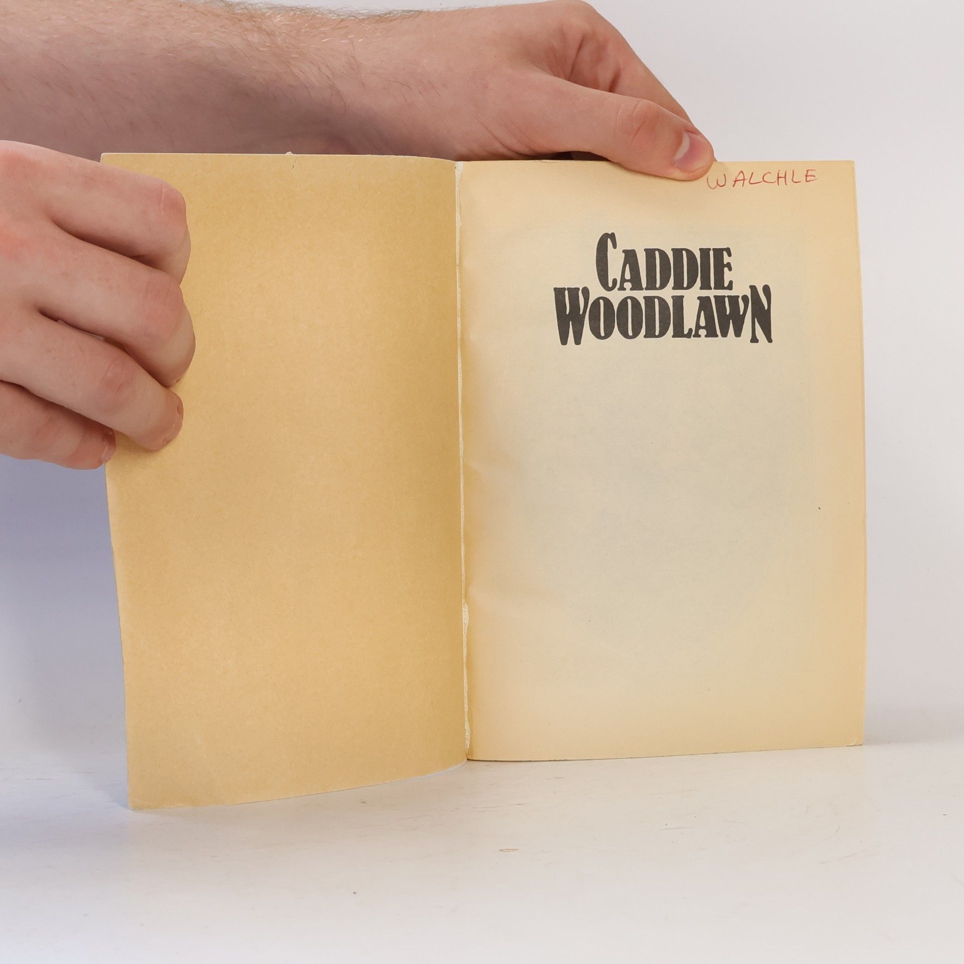 Trina Schart Hyman Caddie Woodlawn