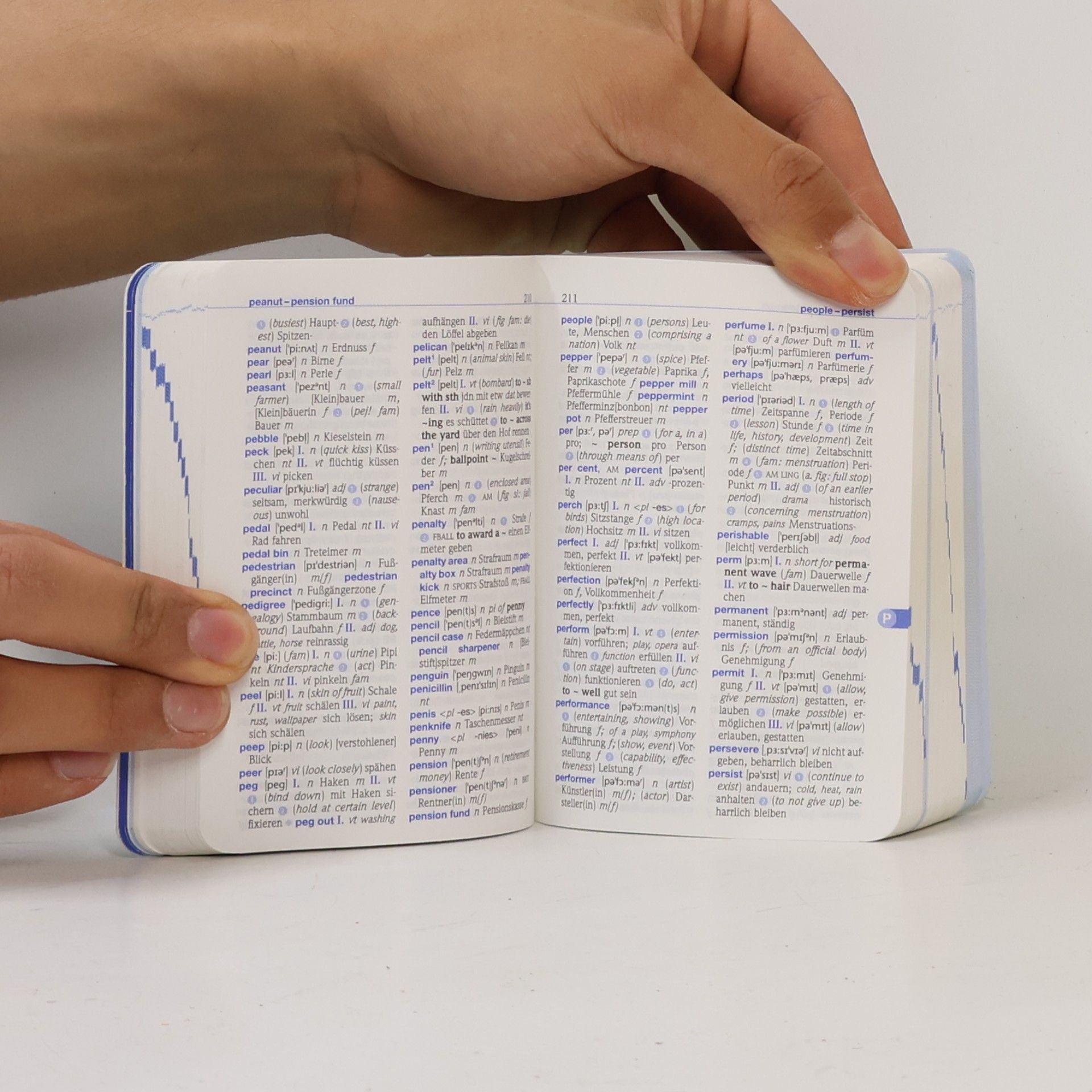 Anette Dralle PONS Praxiswörterbuch