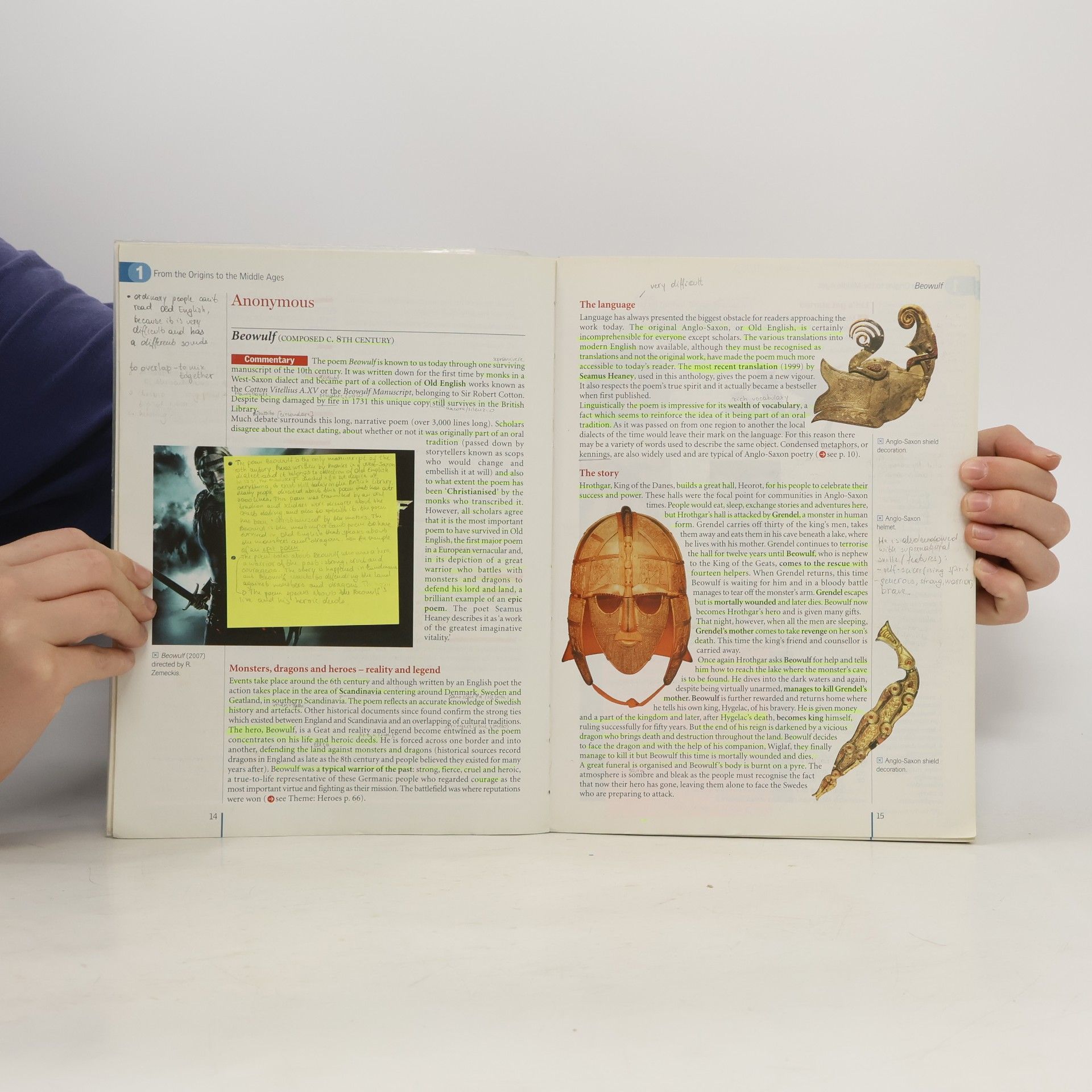 Cinzia Medaglia With Rhymes and Reason