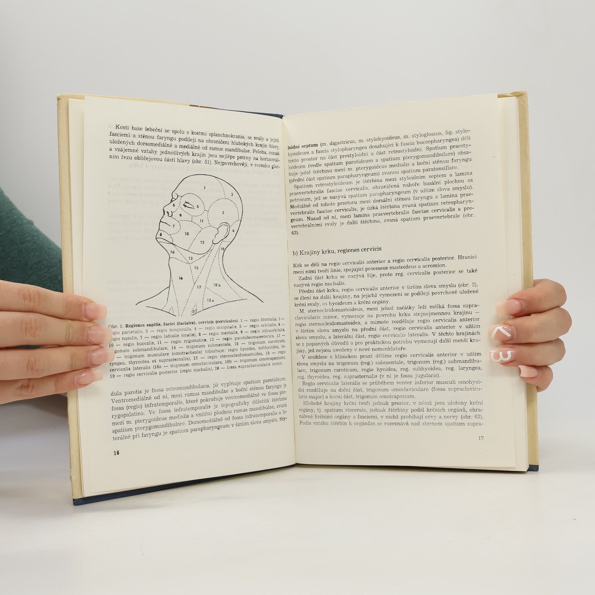 Leo Lemež Topografická anatomie pro stomatology