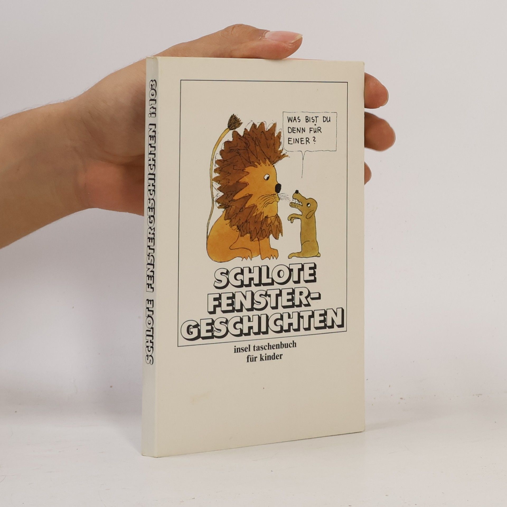 Autorenkollektiv Insel Taschenbuch - 103: Fenstergeschichten