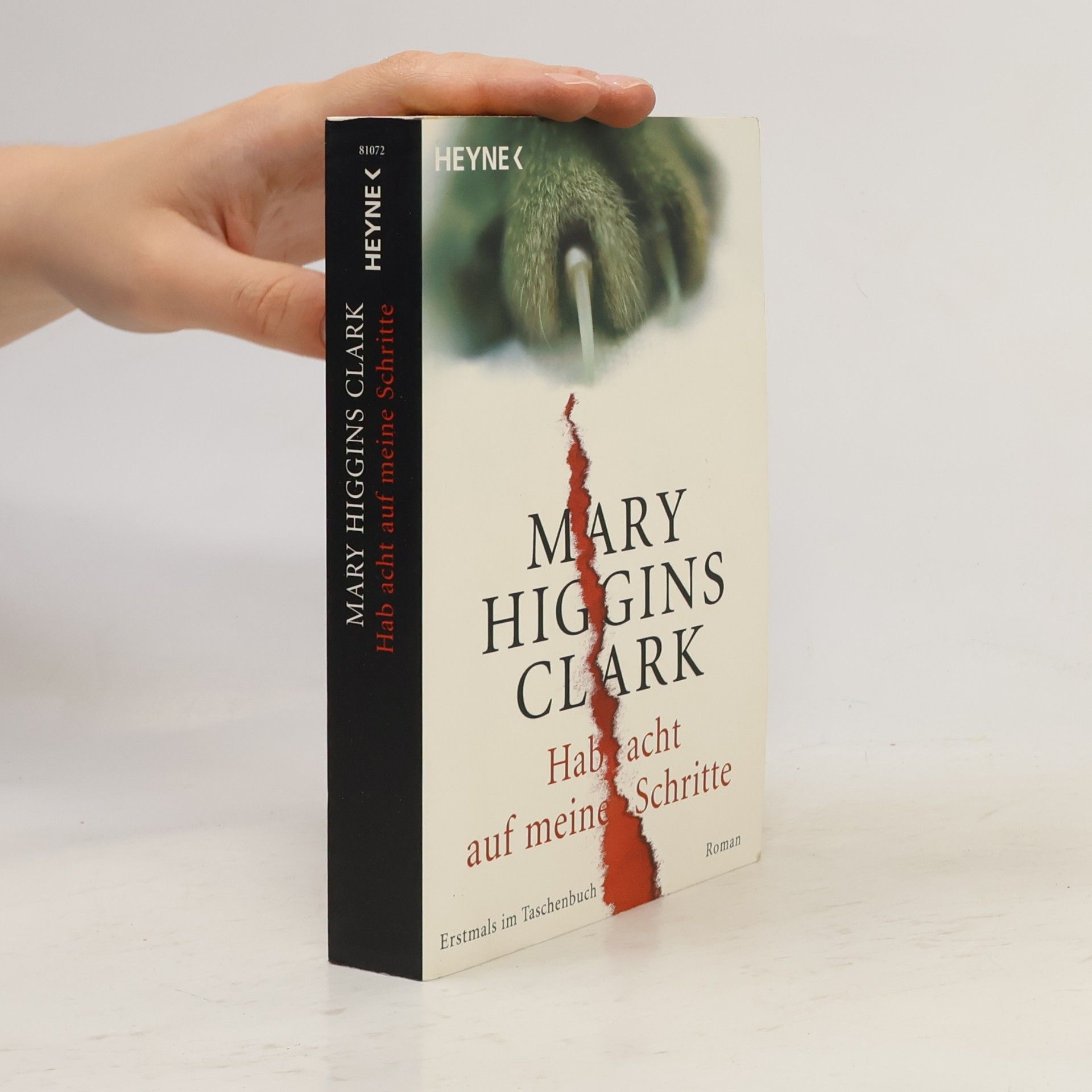 Mary Higgins Clark Hab acht auf meine Schritte