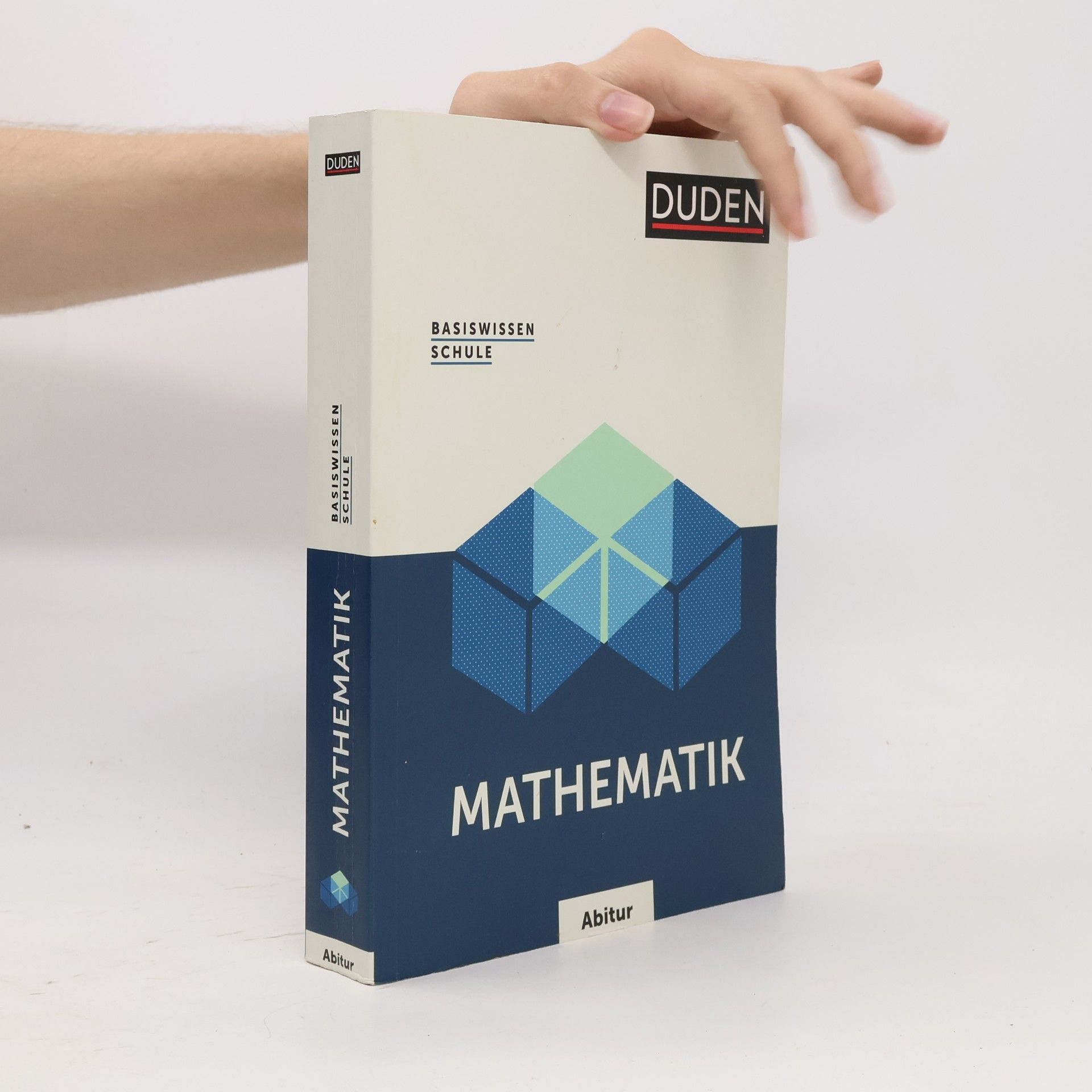 Basiswissen Schule - Mathematik Abitur