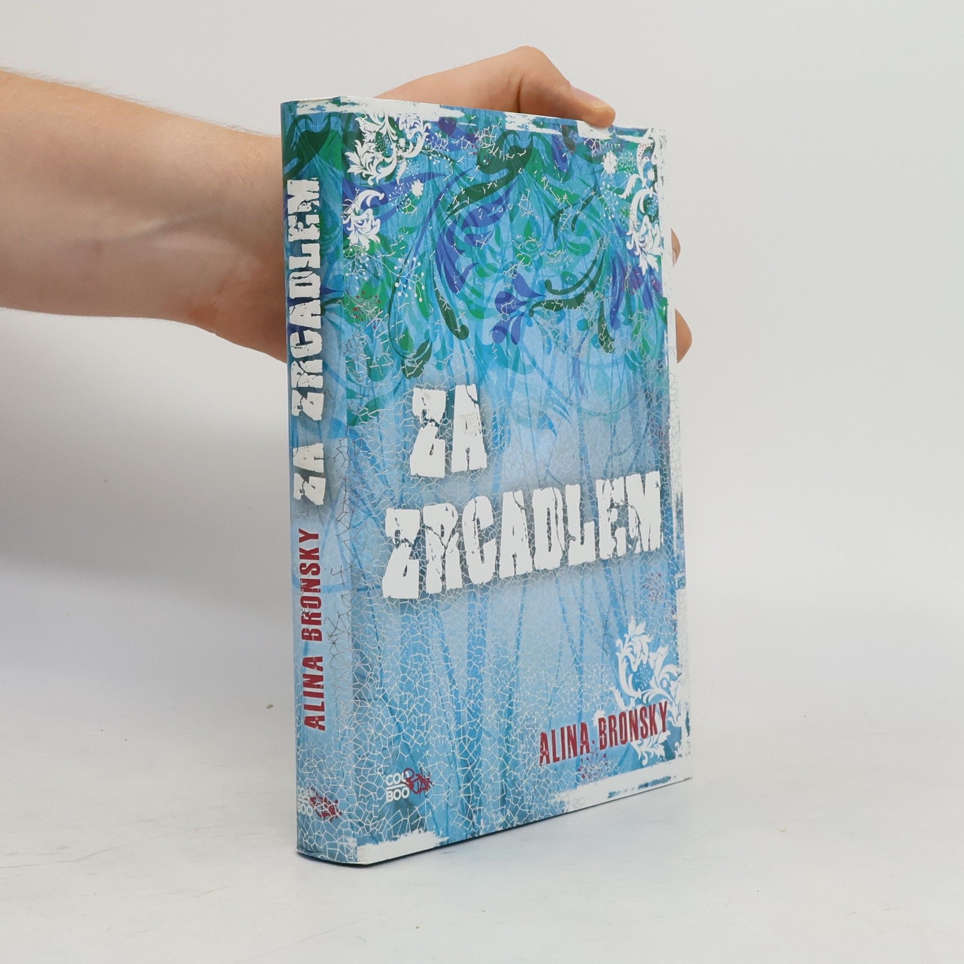 Alina Bronsky Za zrcadlem