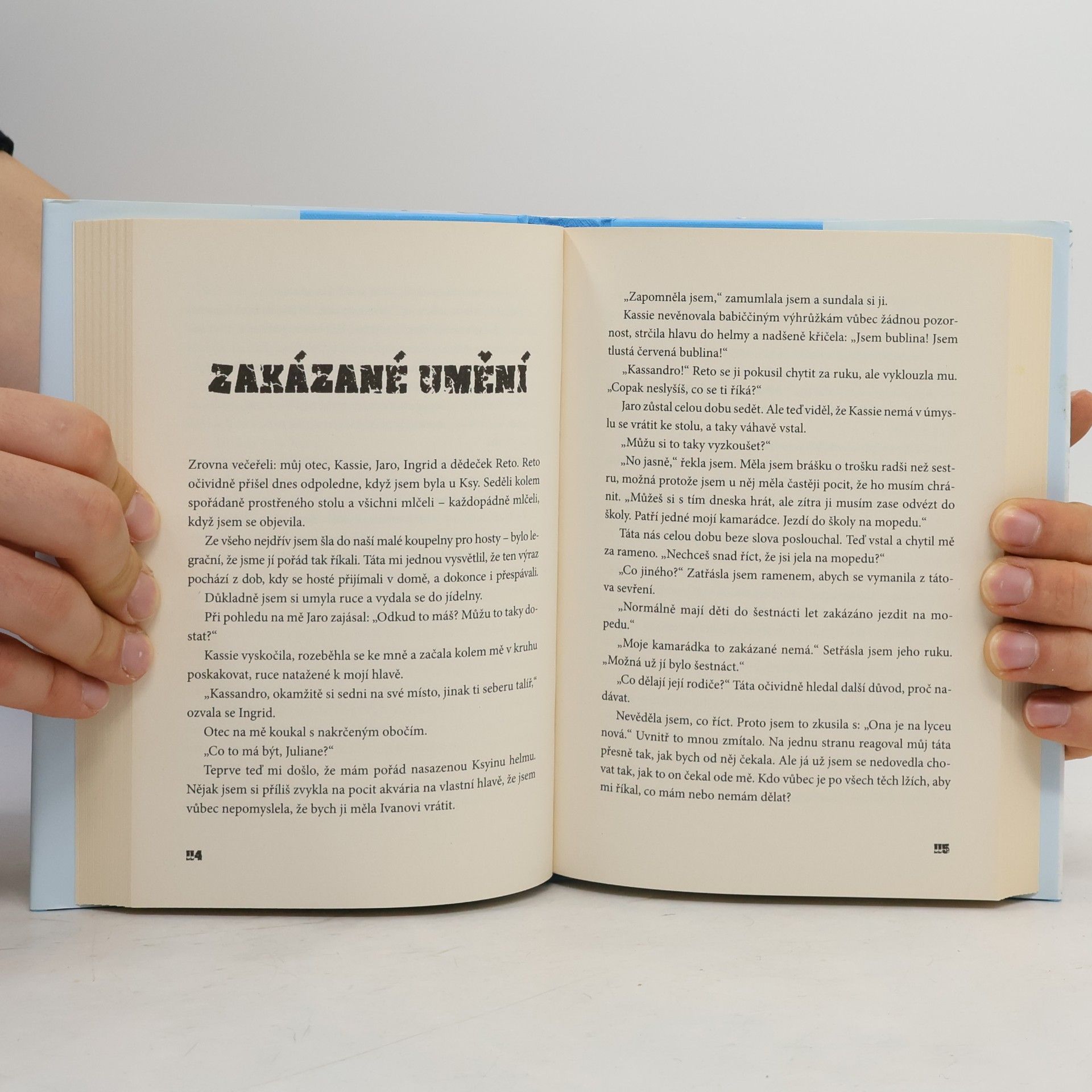 Alina Bronsky Za zrcadlem