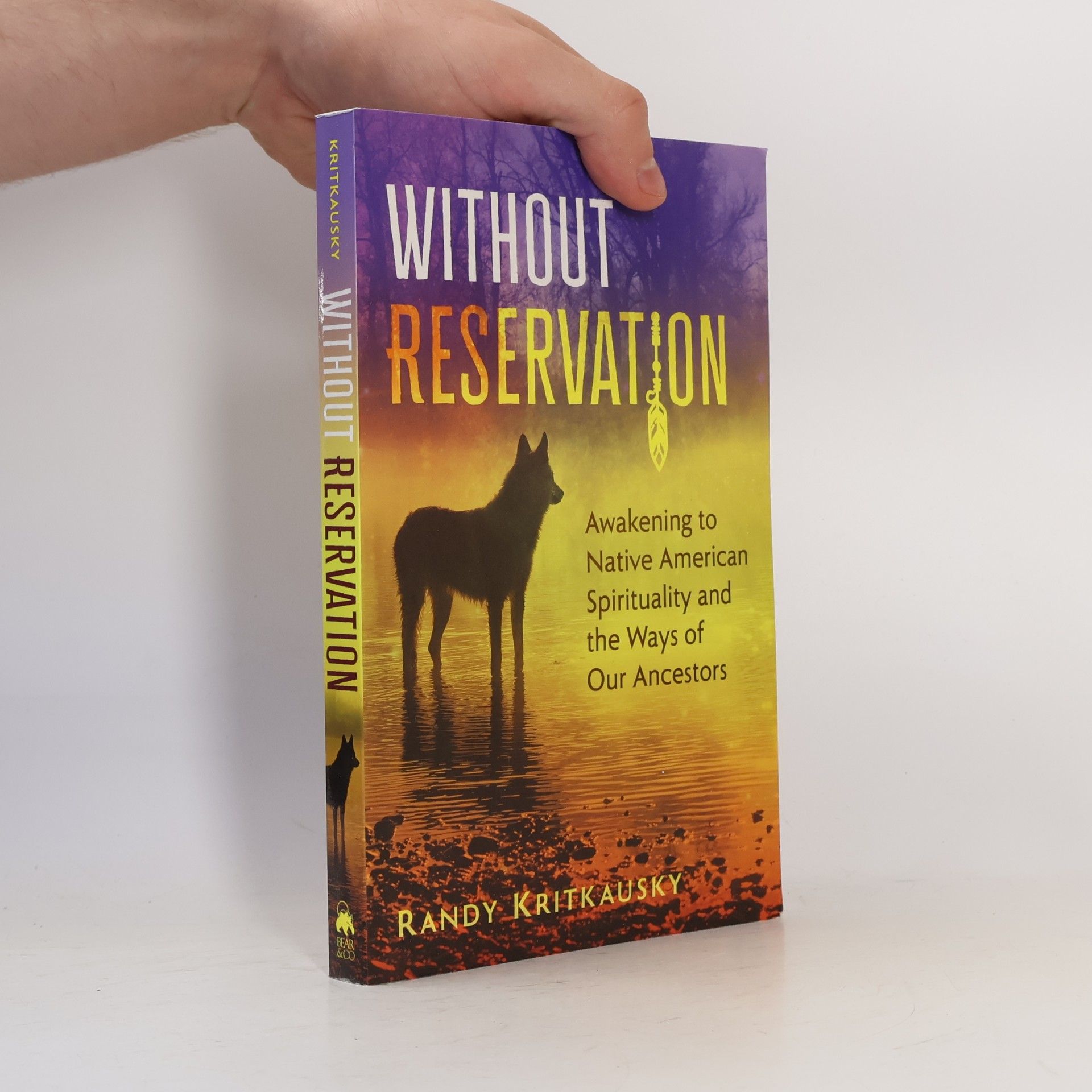 Randy Kritkausky Without Reservation