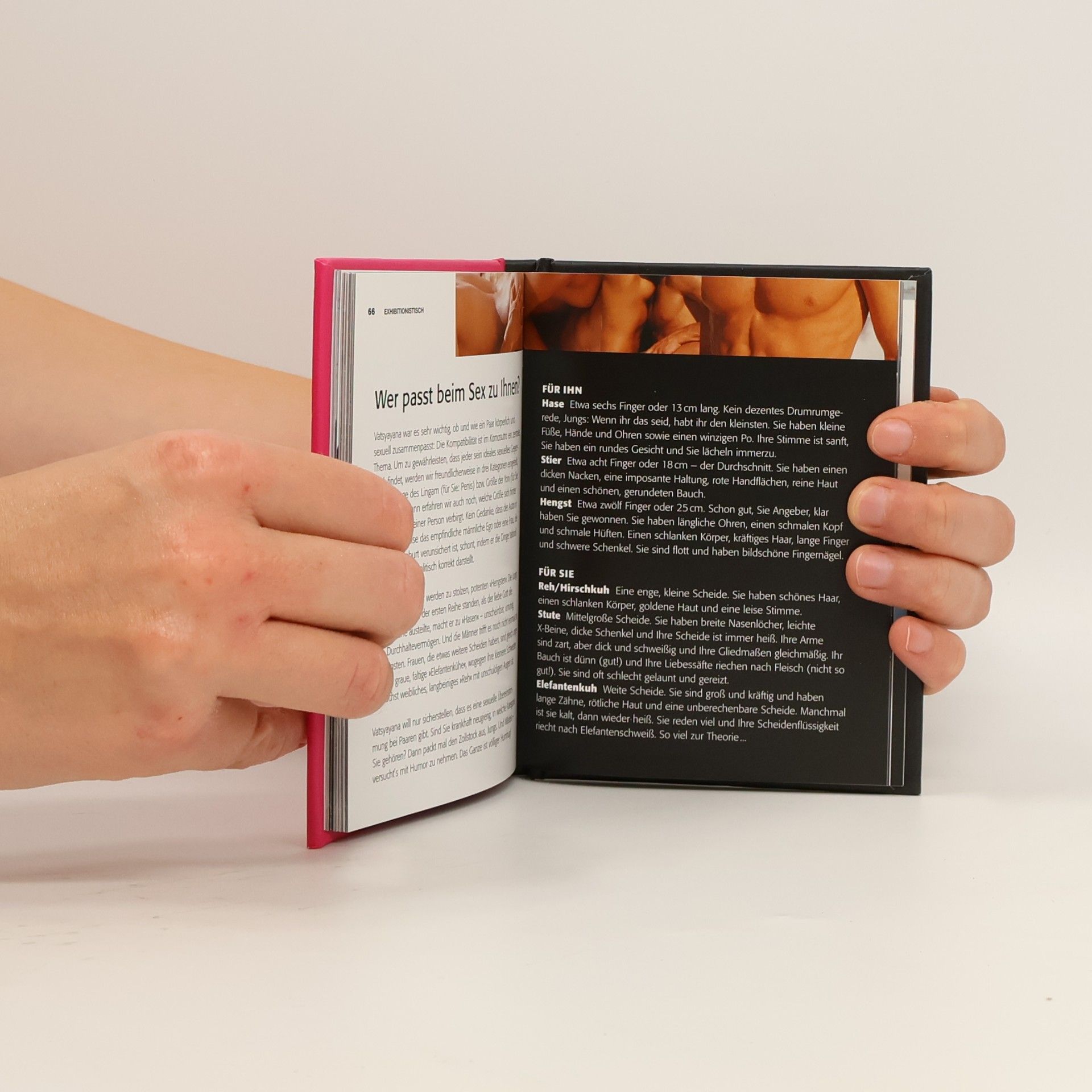 Tracey Cox Pocket Kamasutra