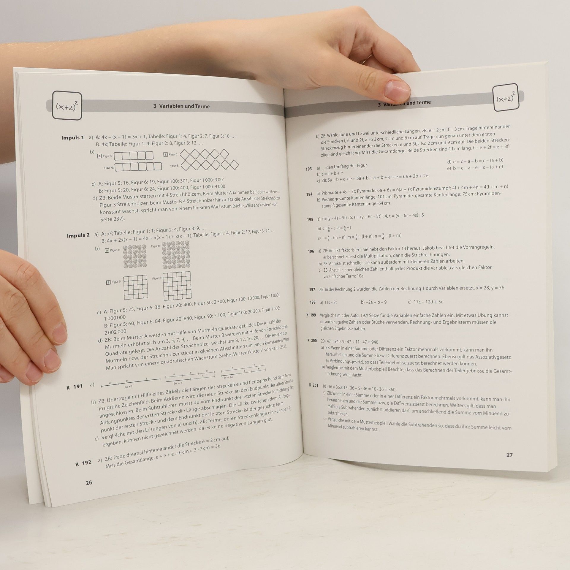 Beate Eßletzbichler 100 Prozent Mathematik 4, Lösungen