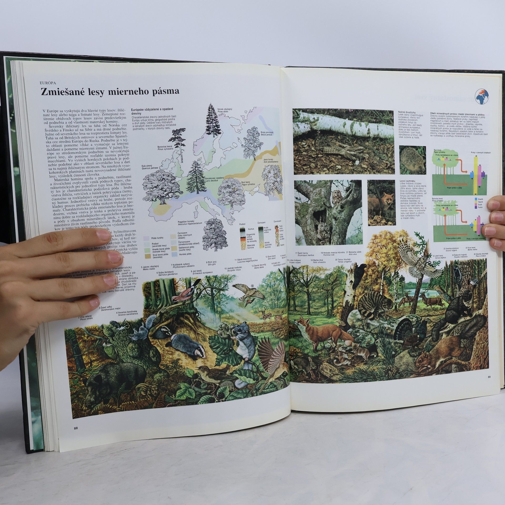 Kolektiv autorů Veľký atlas živočíchov