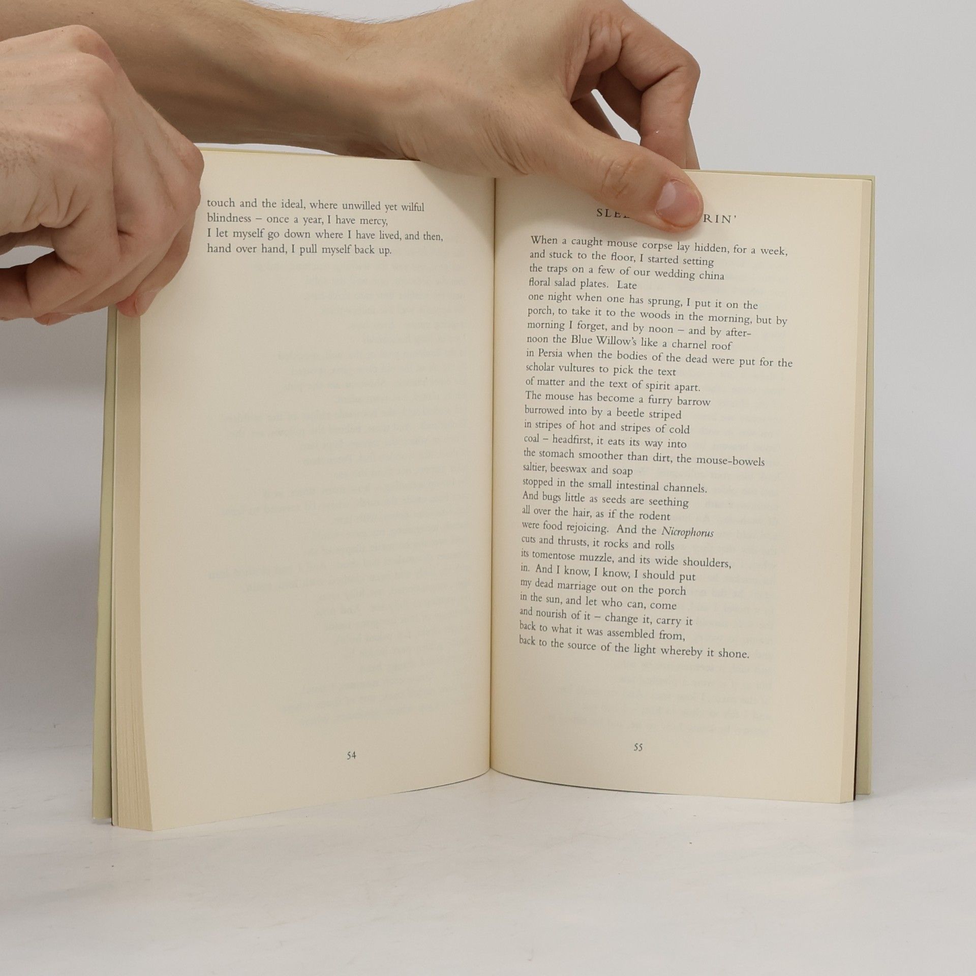 Sharon Olds Cape Poetry: Stag’s Leap