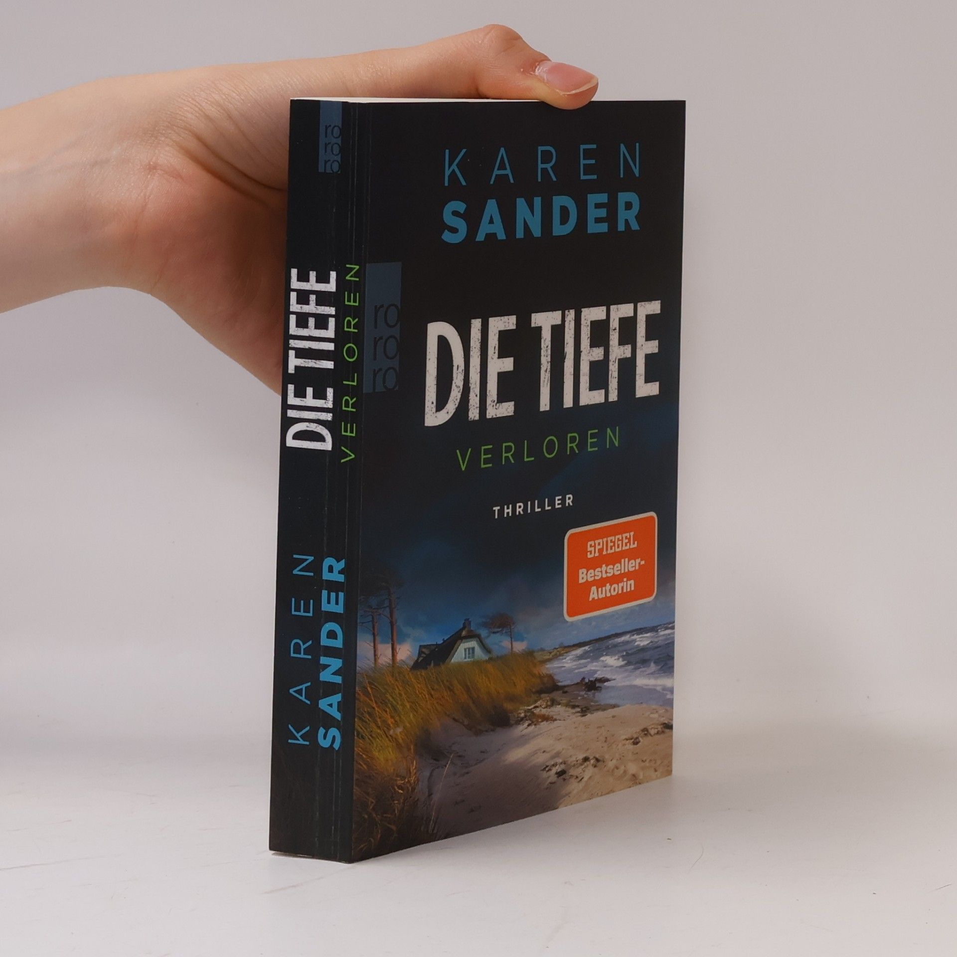 Sabine Martin Die Tiefe: Verloren
