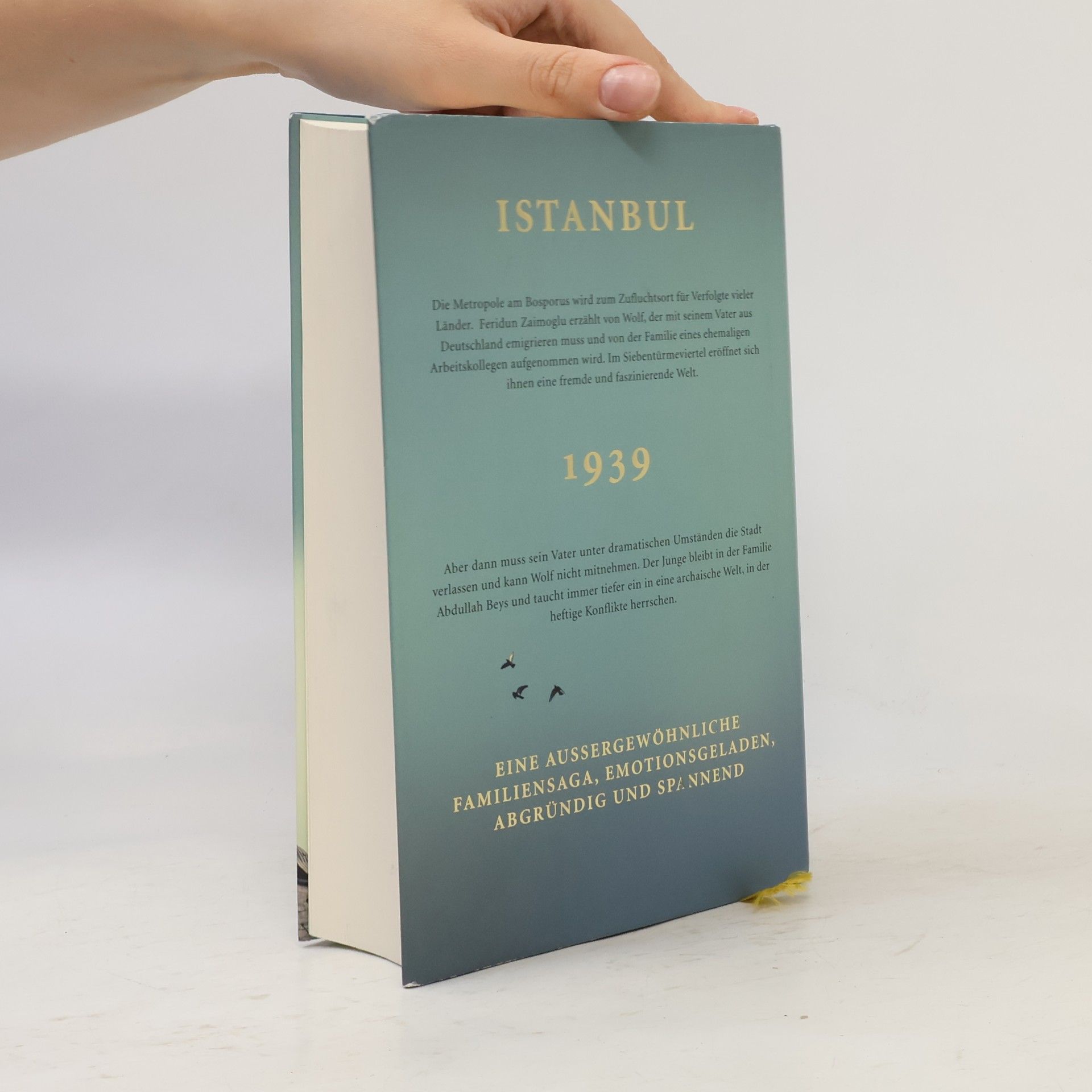 Feridun Zaimoglu Siebentürmeviertel