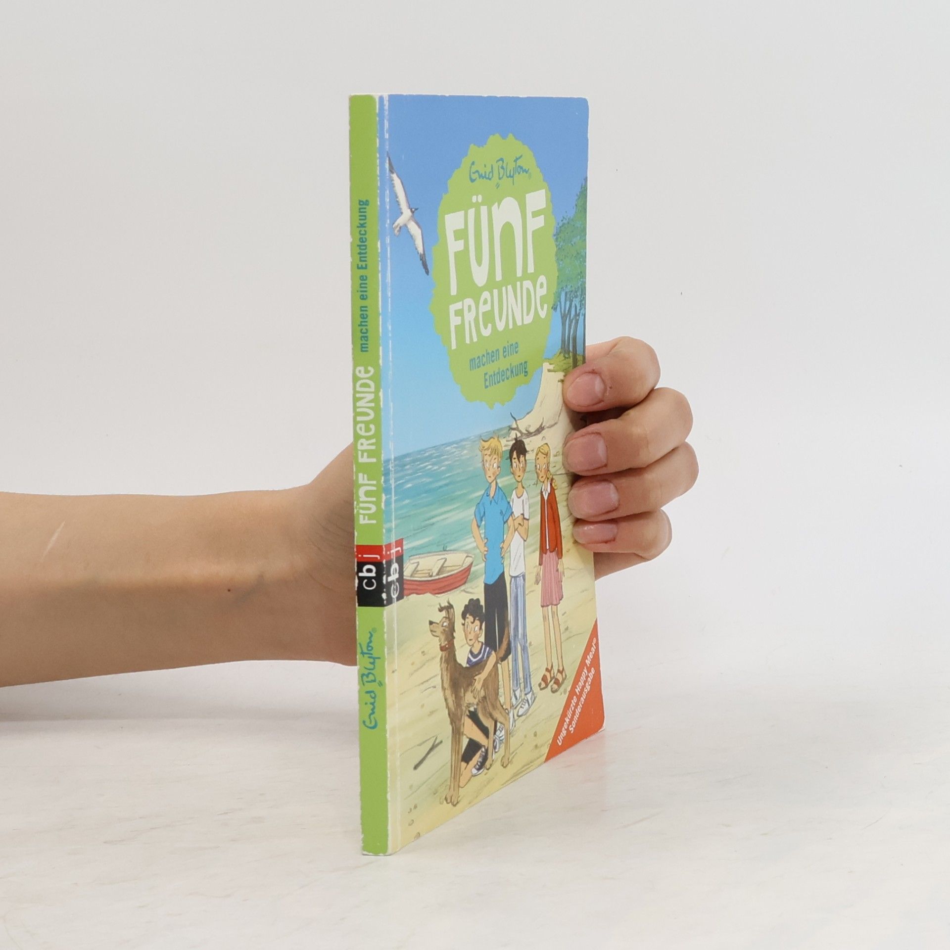 Enid Blyton Fünf Freunde machen eine Entdeckung