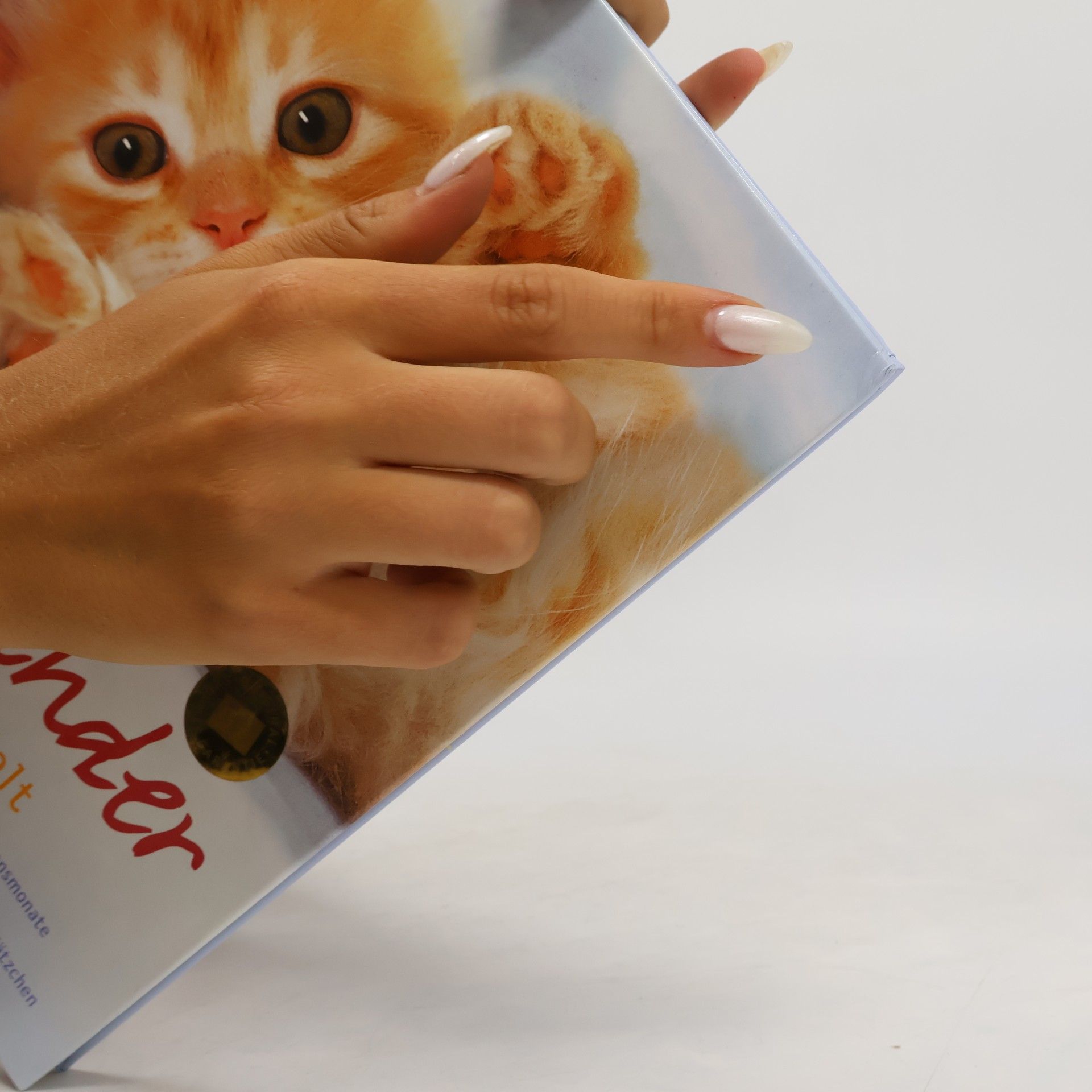 Monika Wegler Katzenkinder entdecken die Welt