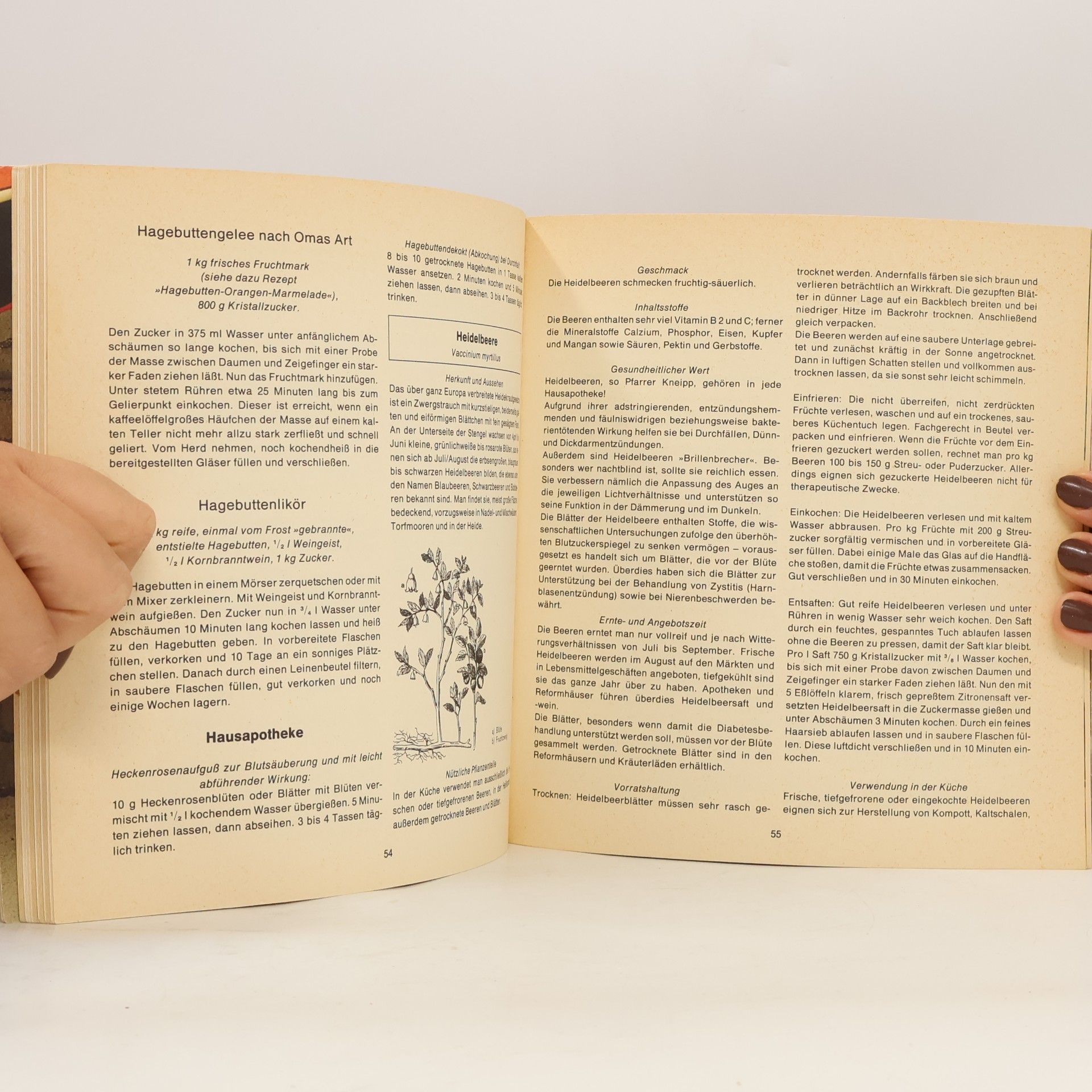 Pia Pervenche Kräuter- und Heilpflanzen-Kochbuch für eine gesunde Lebensweise