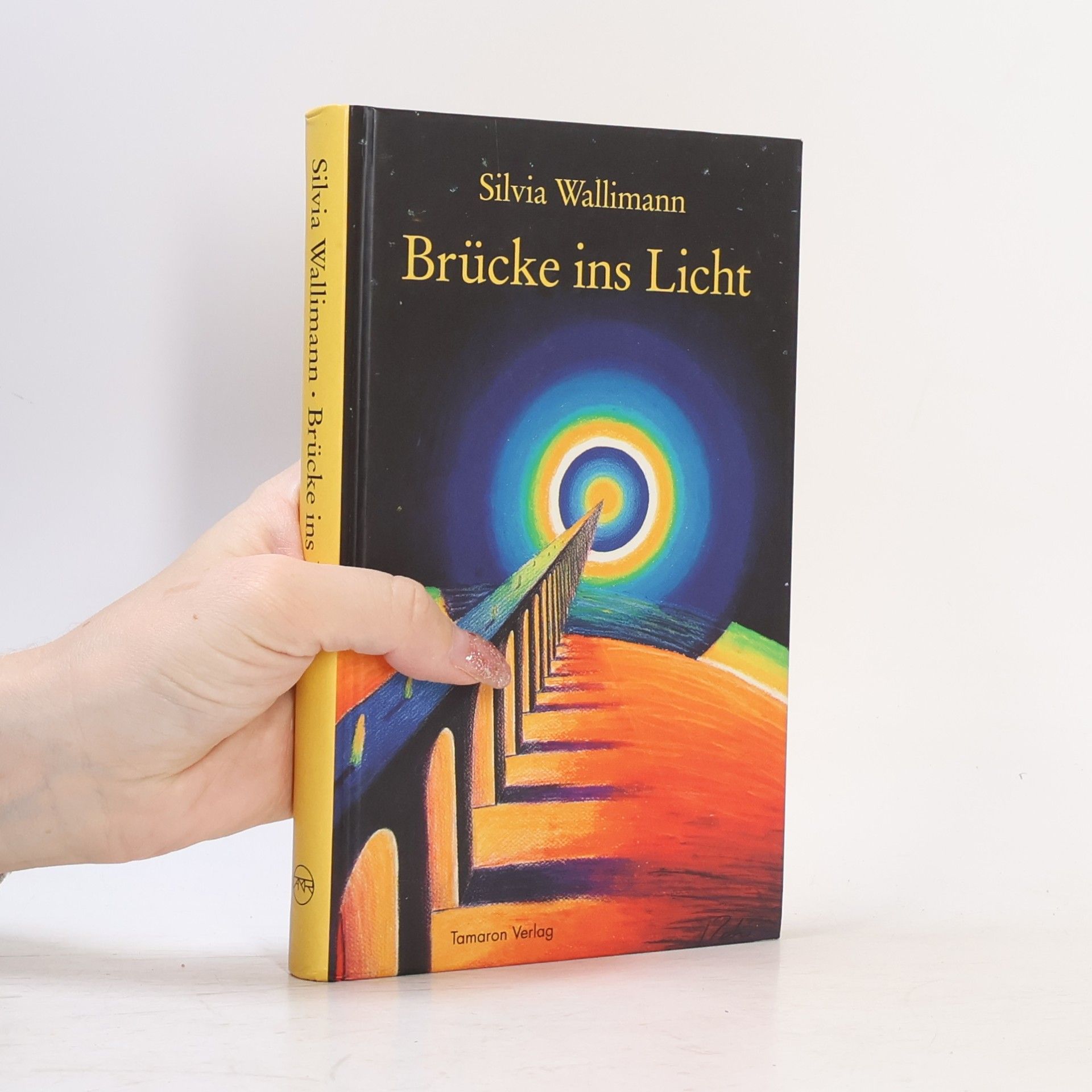 Silvia Wallimann Brücke ins Licht