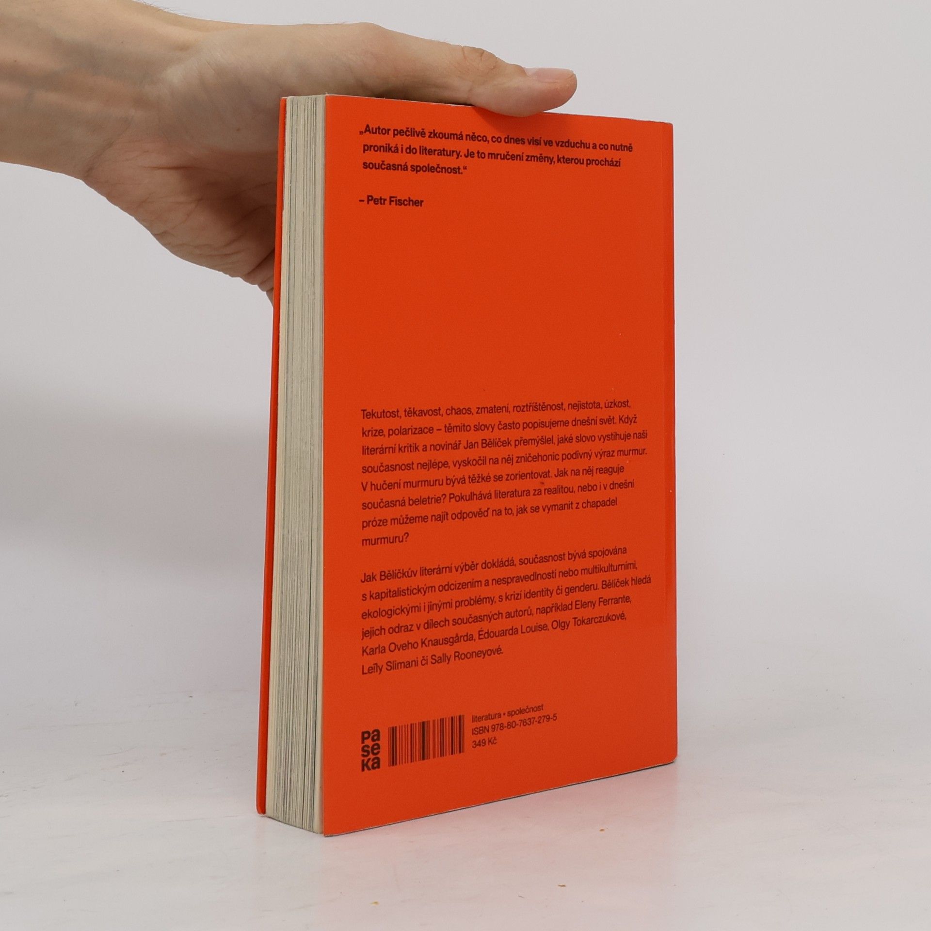Jan Bělíček V chapadlech murmuru : jak číst literaturu krize