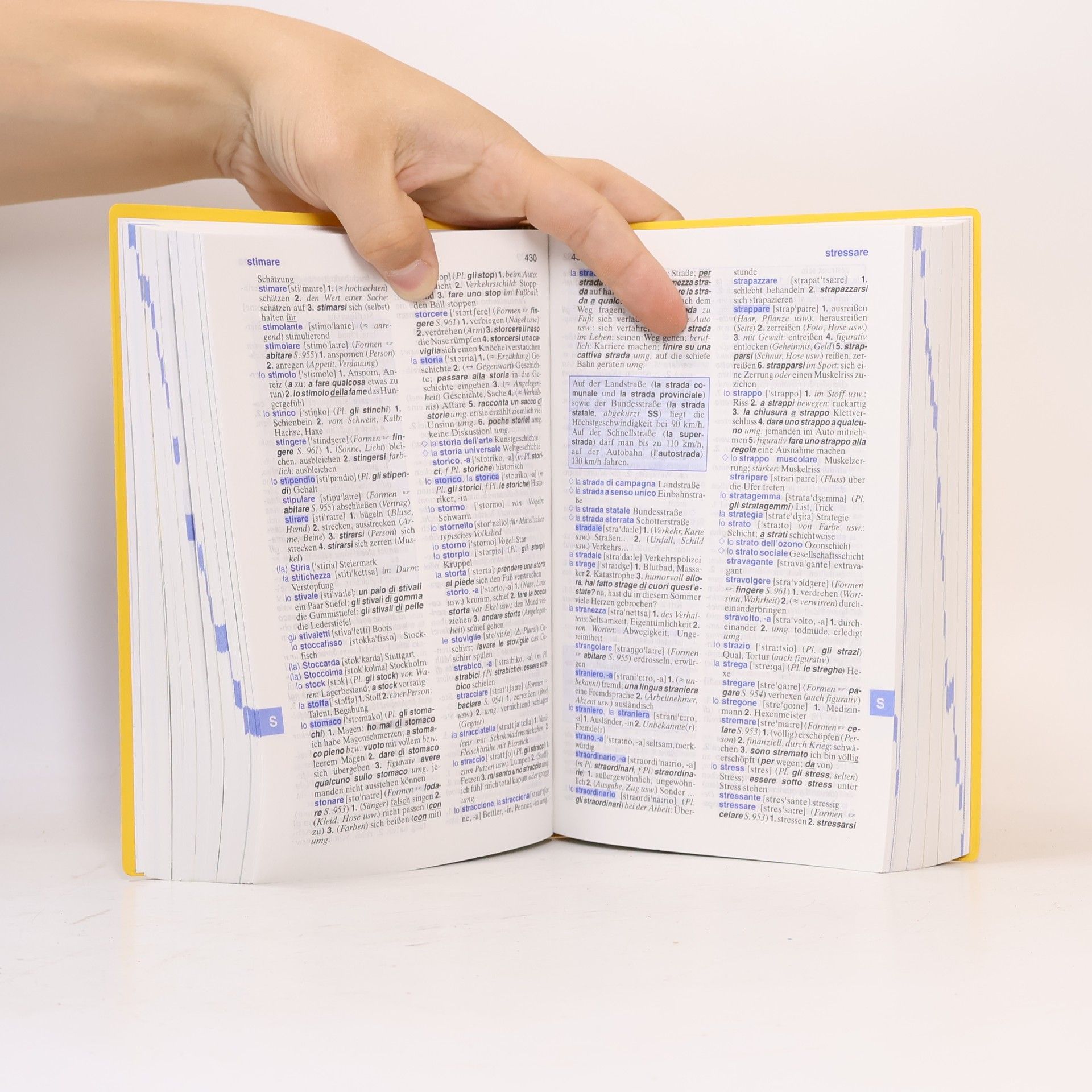 Rachele Zoli Sudbrock Langenscheidt, Power-Wörterbuch Italienisch