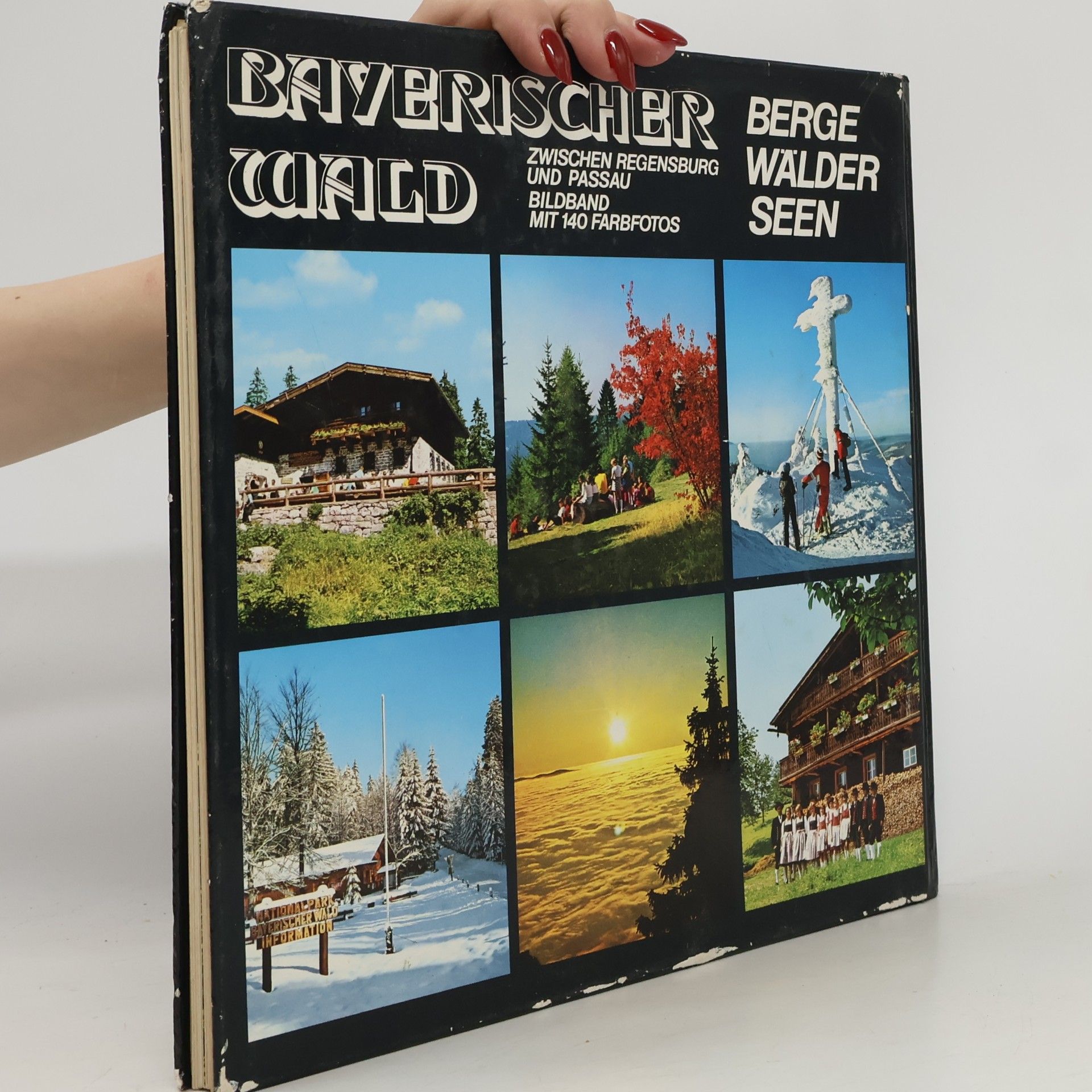 Kolektiv autorů Bayerischer Wald