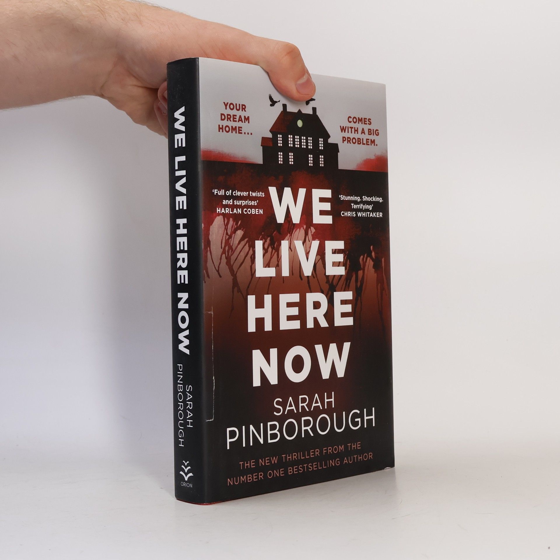 Sarah Pinborough We Live Here Now
