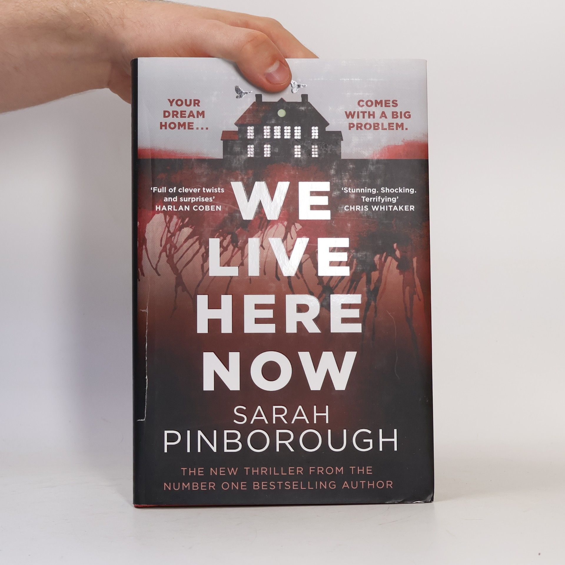 Sarah Pinborough We Live Here Now